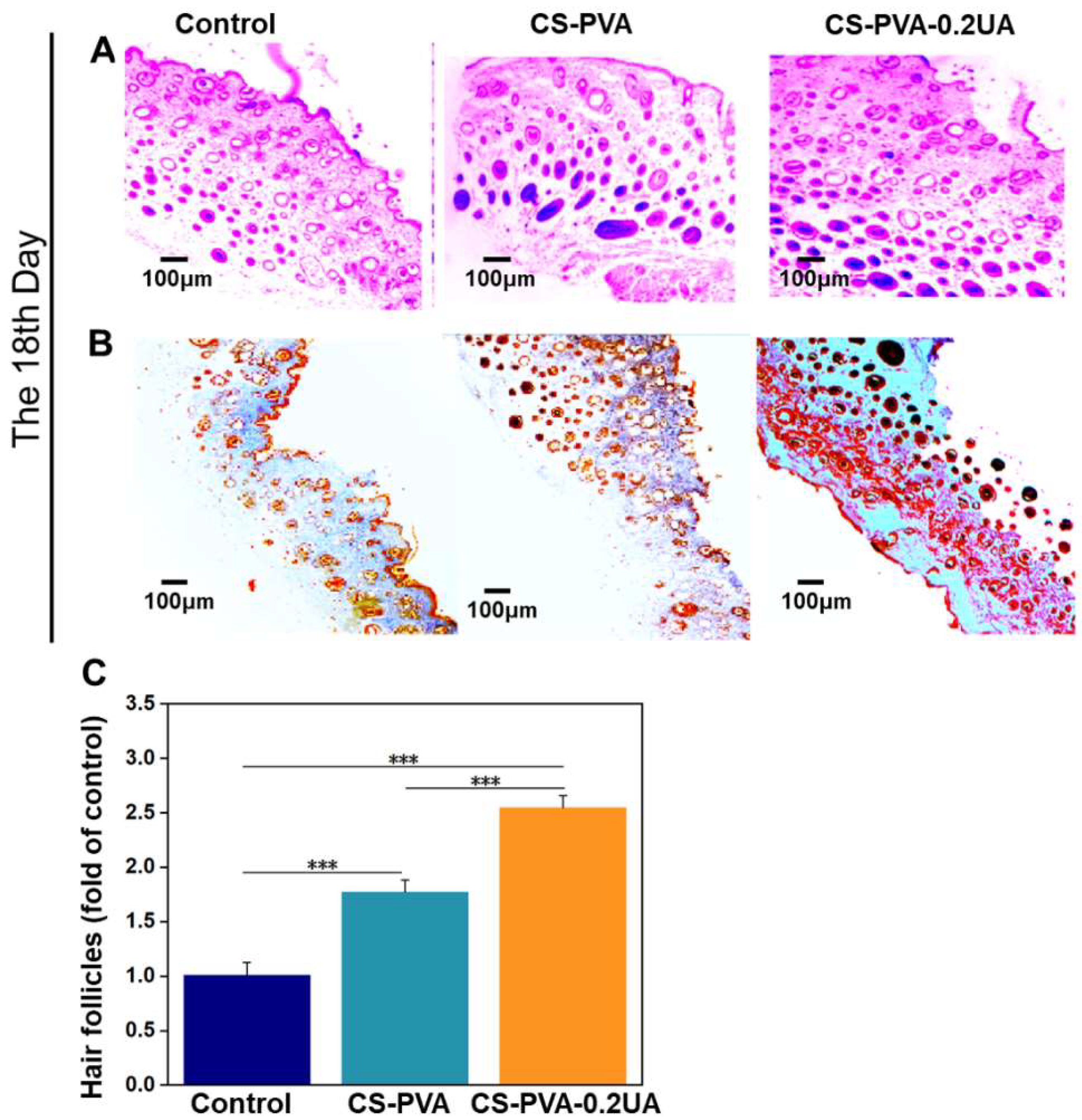 Nanomaterials 12 02933 g009
