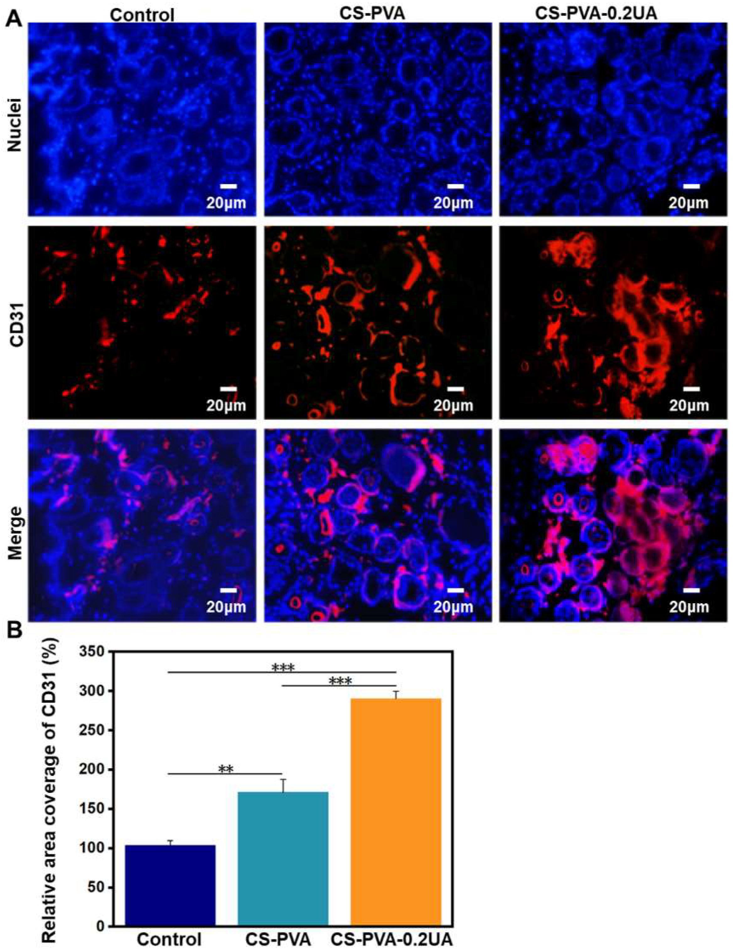 Nanomaterials 12 02933 g010
