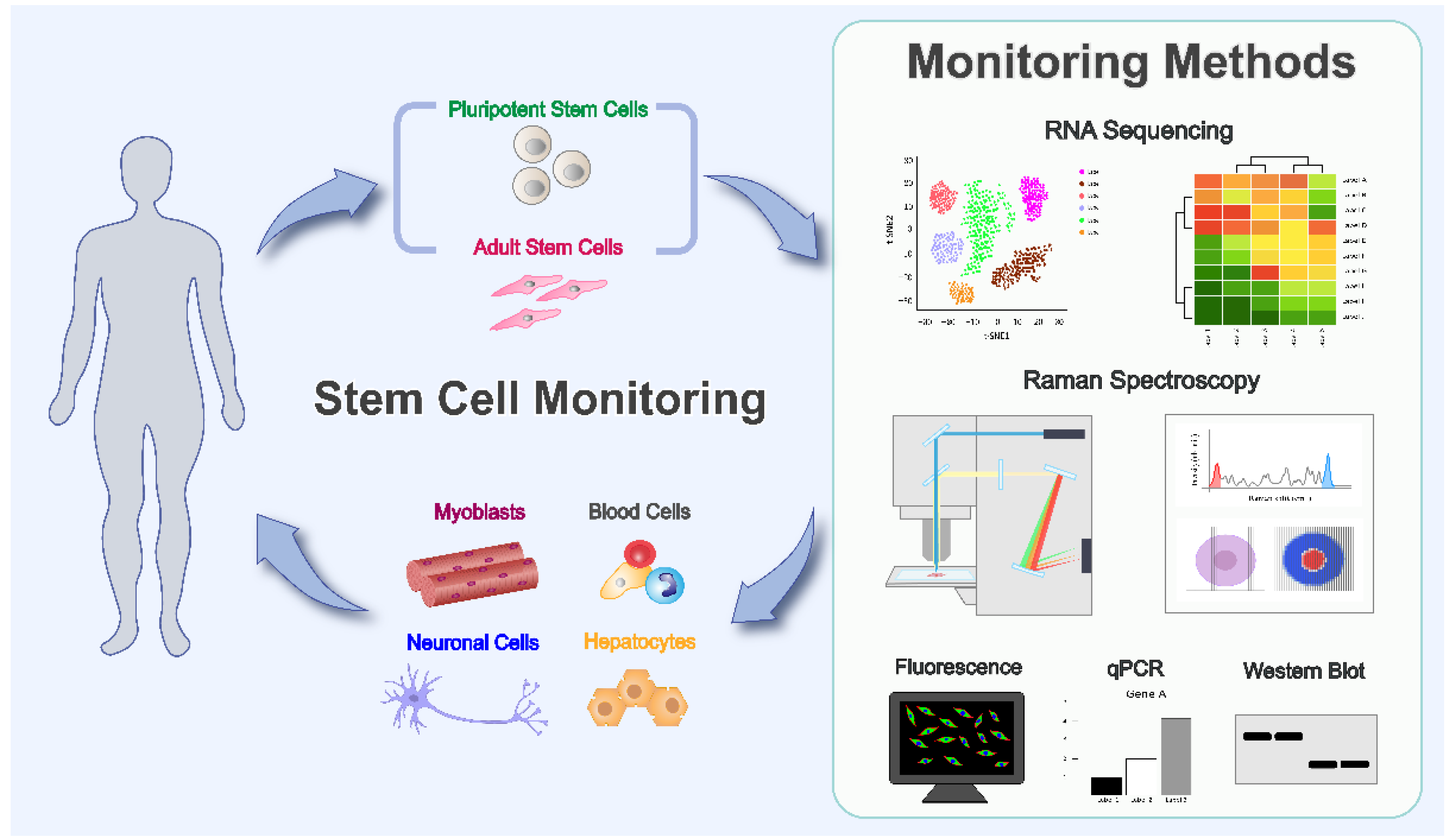 Nanomaterials 12 02934 g001