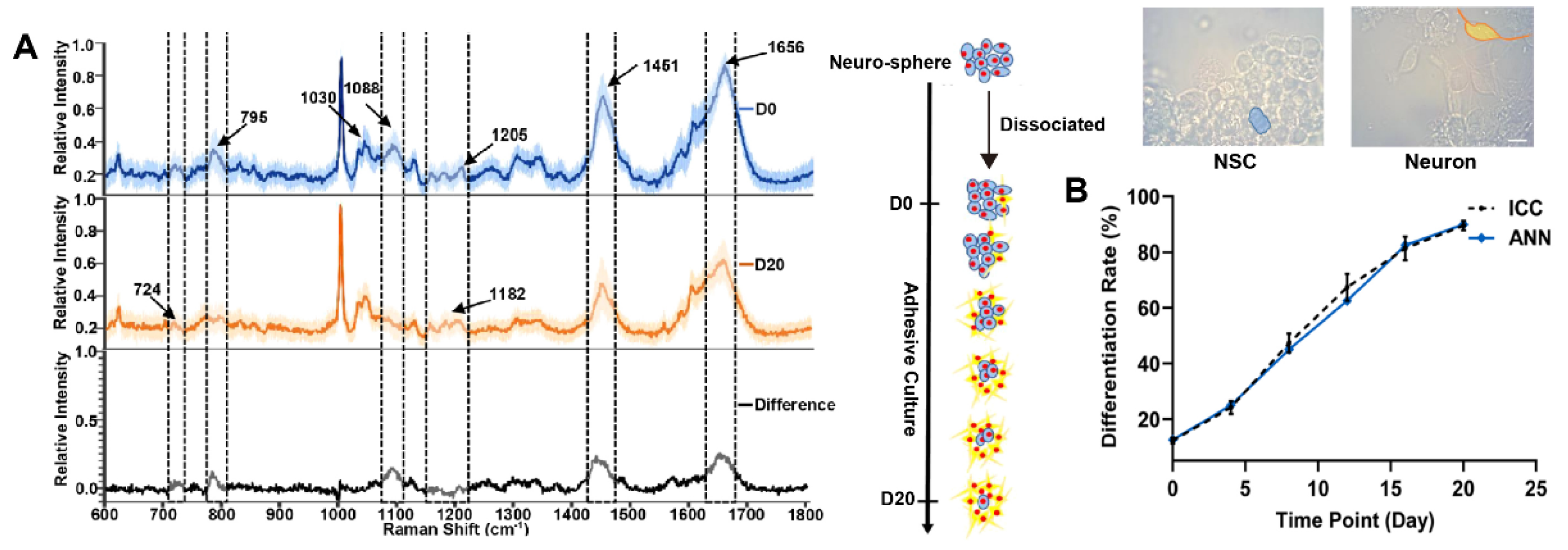 Nanomaterials 12 02934 g002