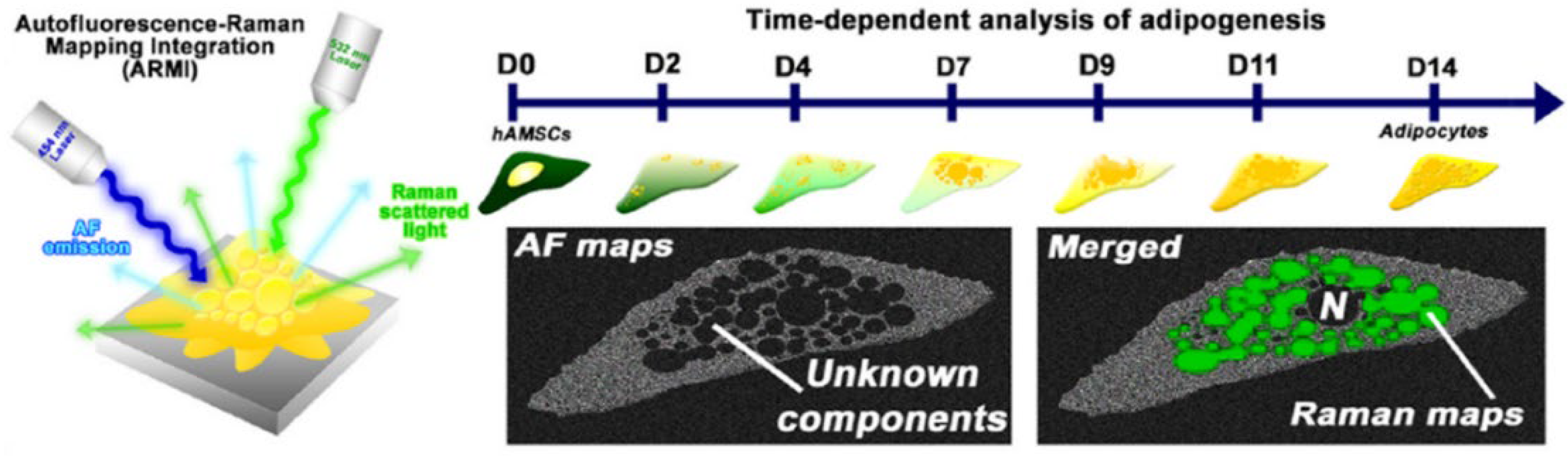 Nanomaterials 12 02934 g003