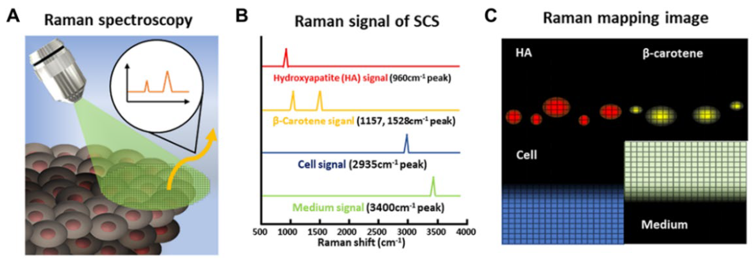 Nanomaterials 12 02934 g004