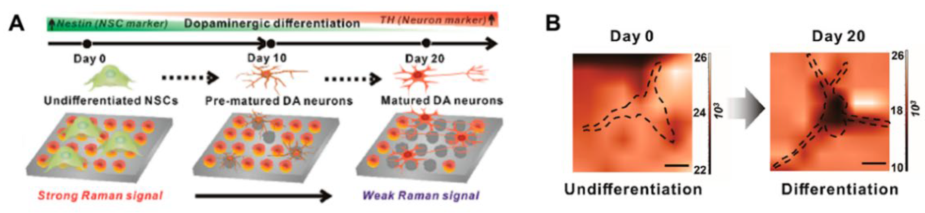 Nanomaterials 12 02934 g006