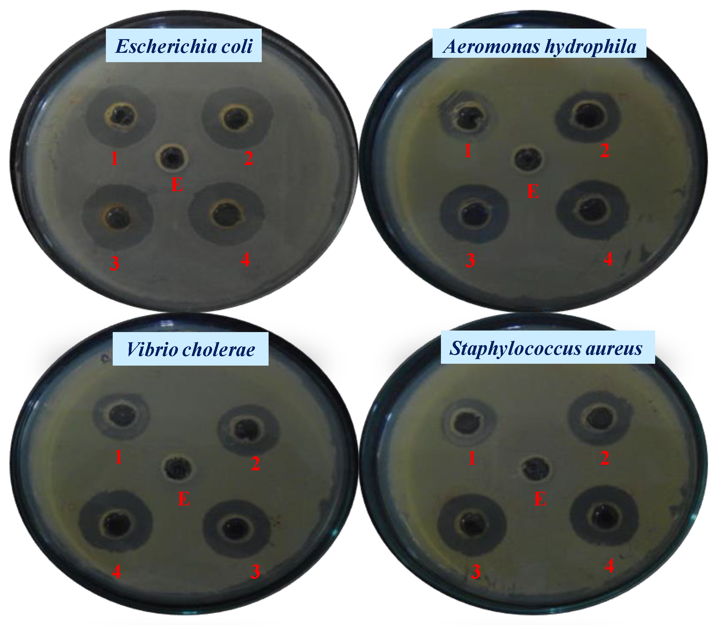 Nanomaterials 12 02940 g008