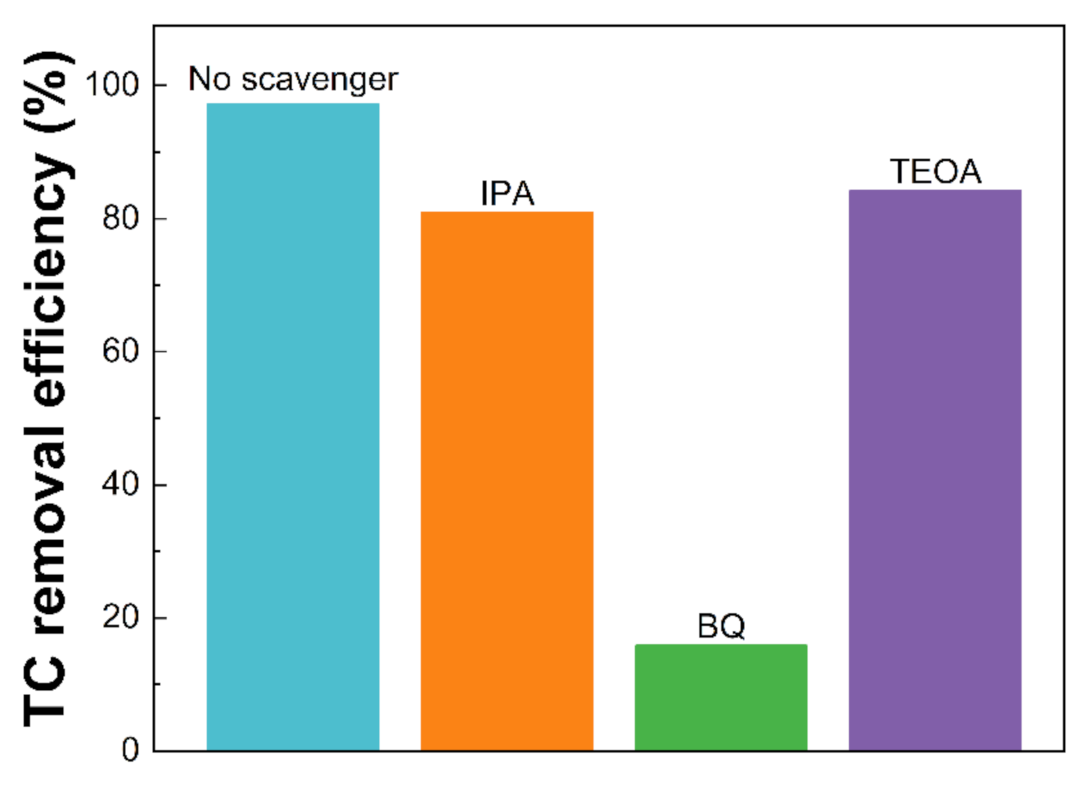 Nanomaterials 12 02945 g009 550