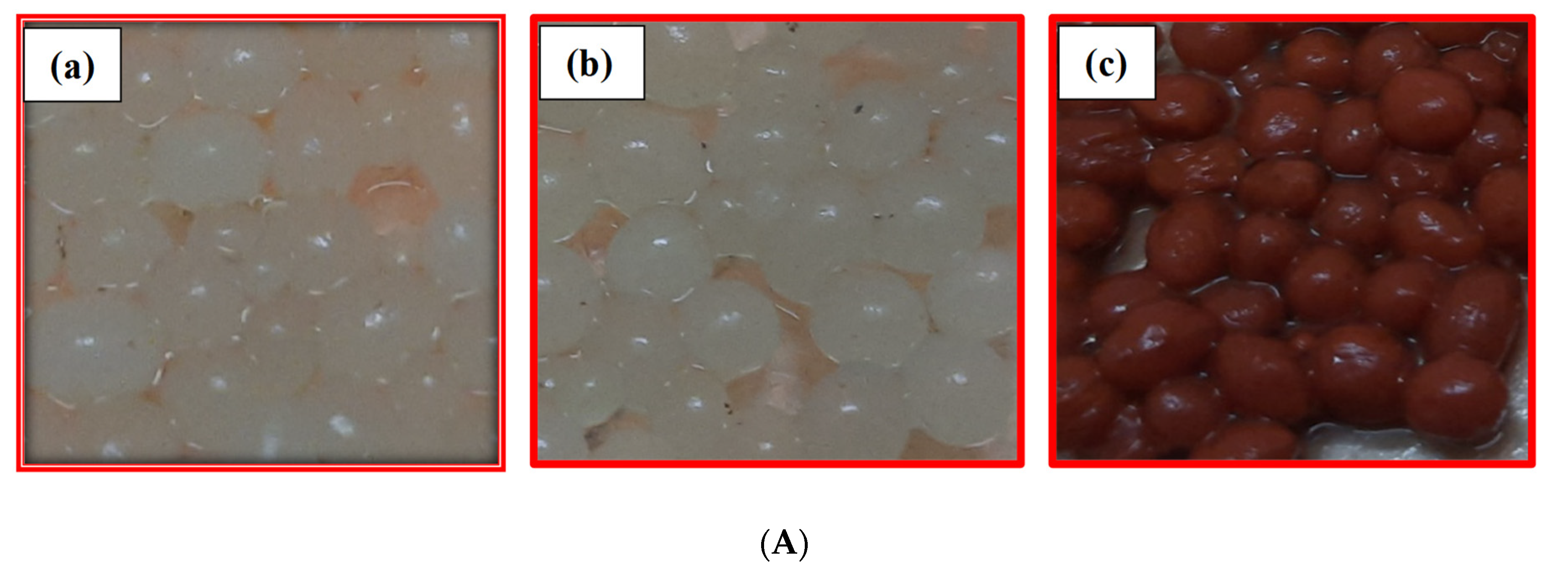 Nanomaterials 12 02947 g001a 550
