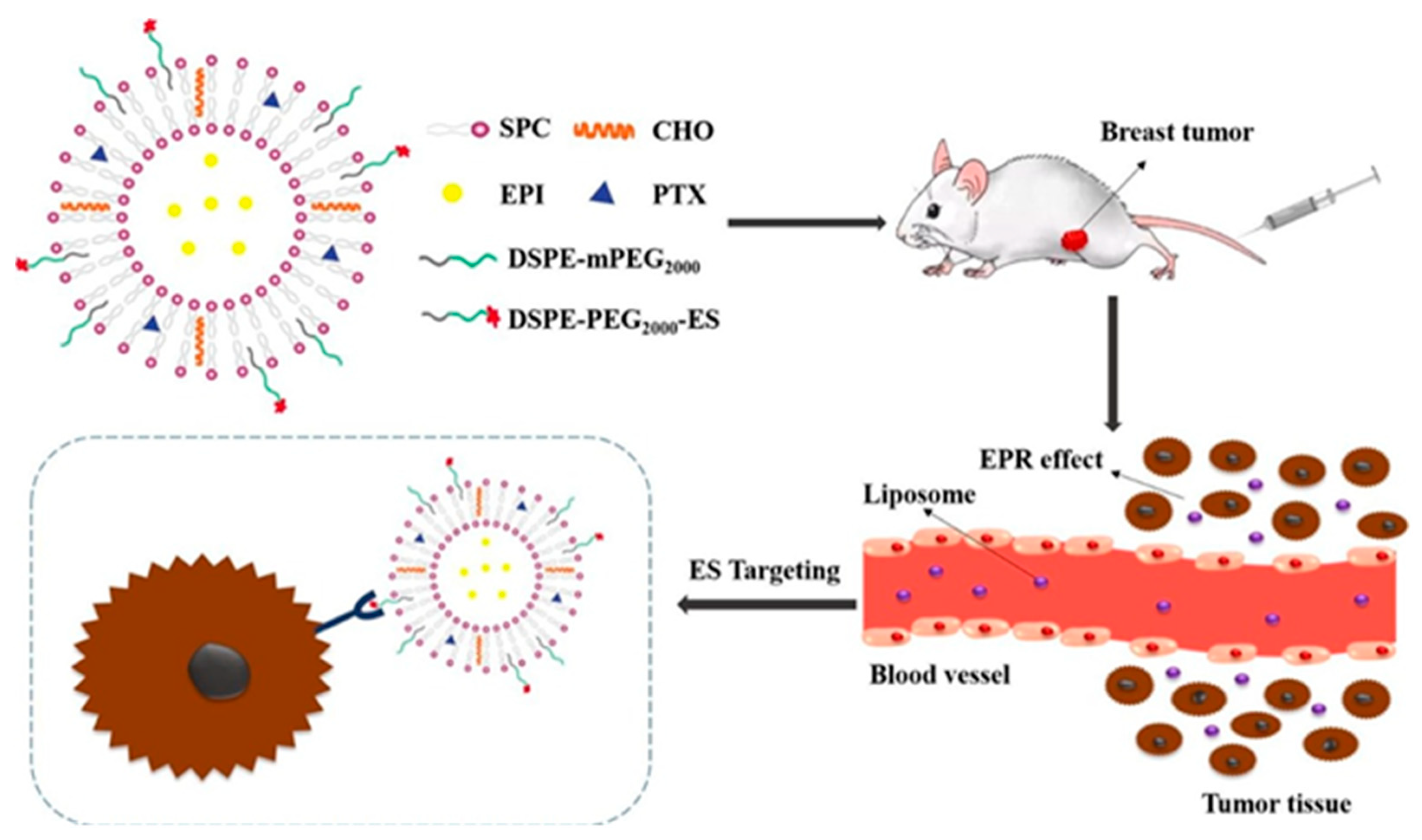 Nanomaterials 12 02948 g002