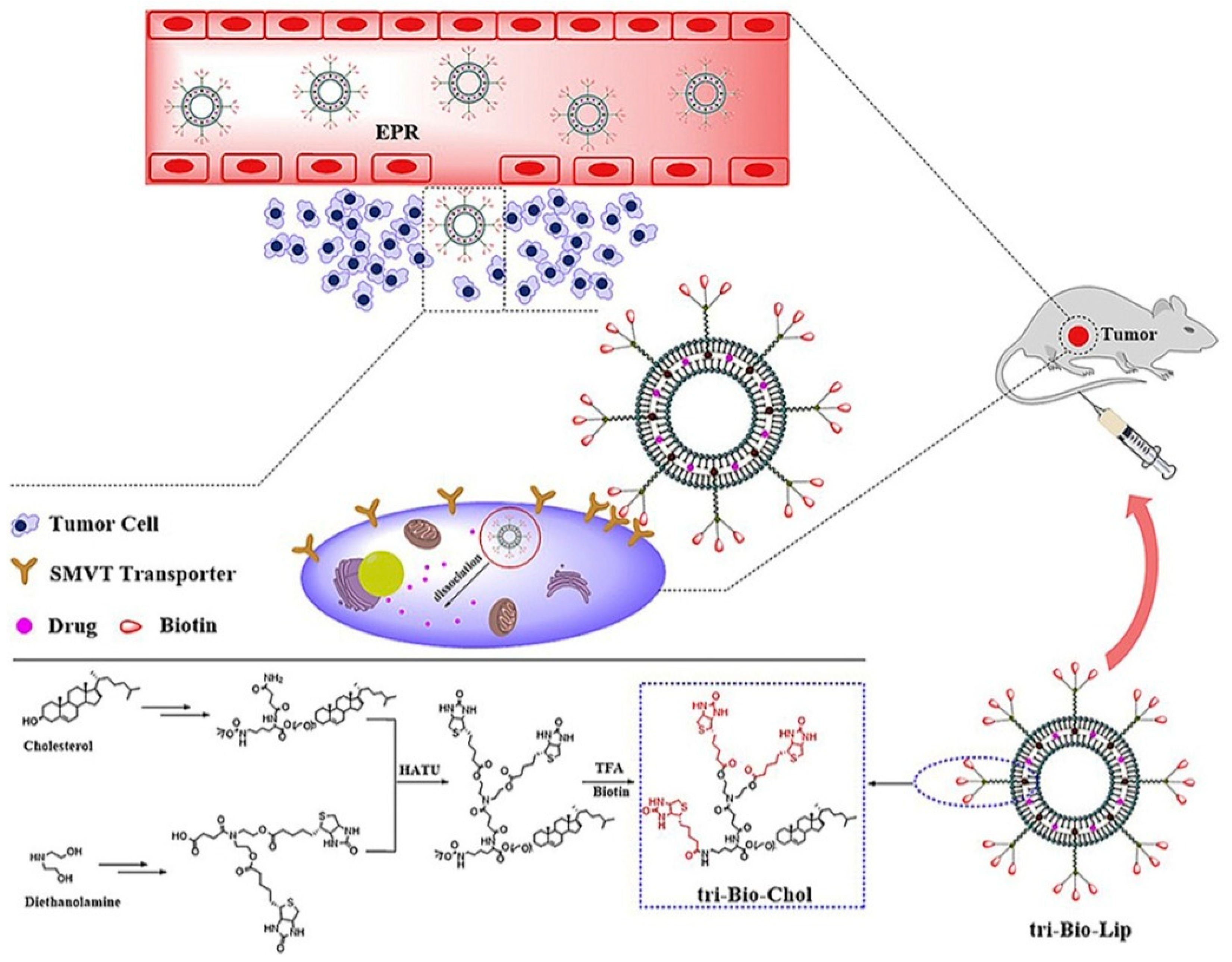 Nanomaterials 12 02948 g003