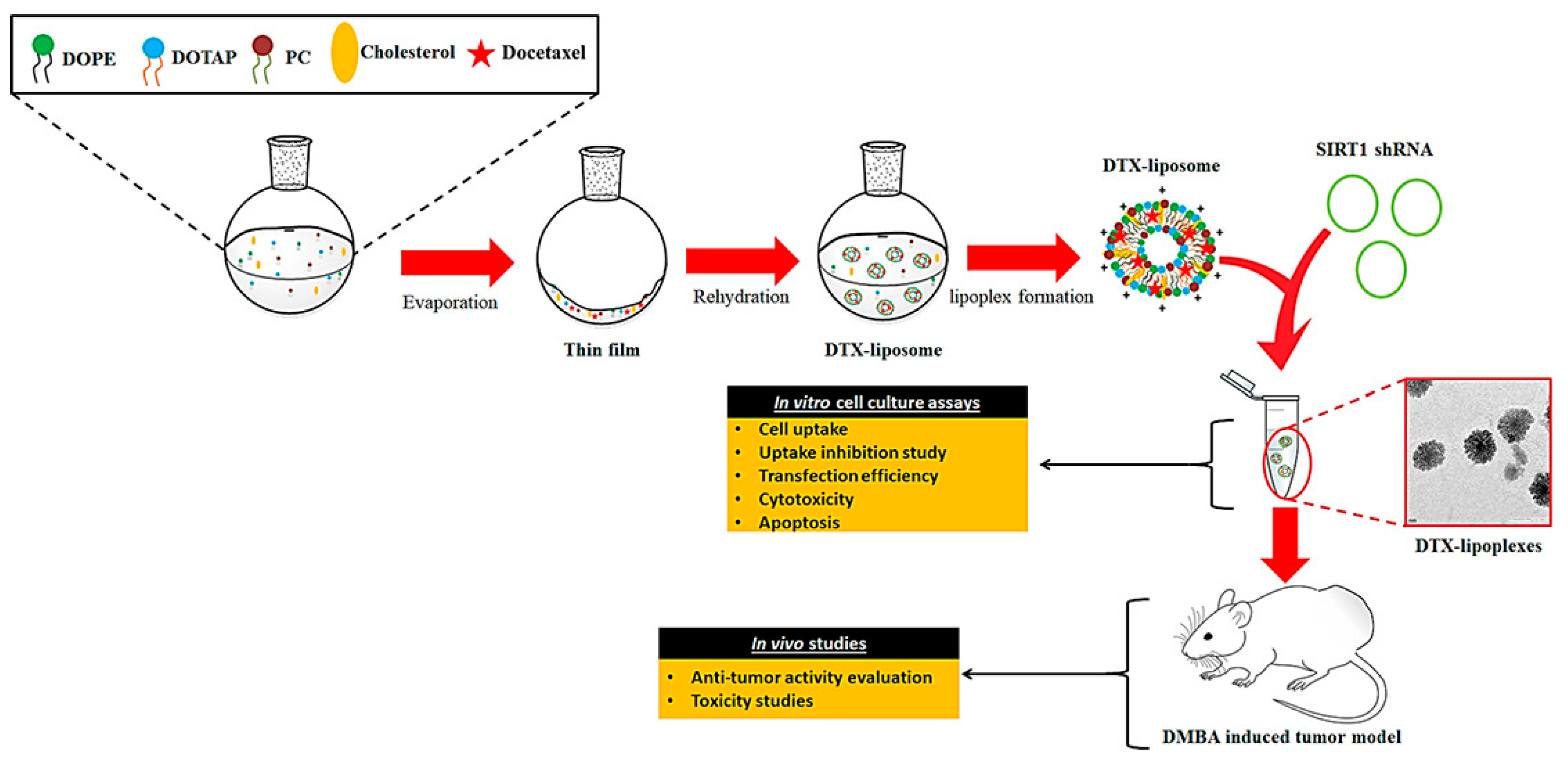 Nanomaterials 12 02948 g004