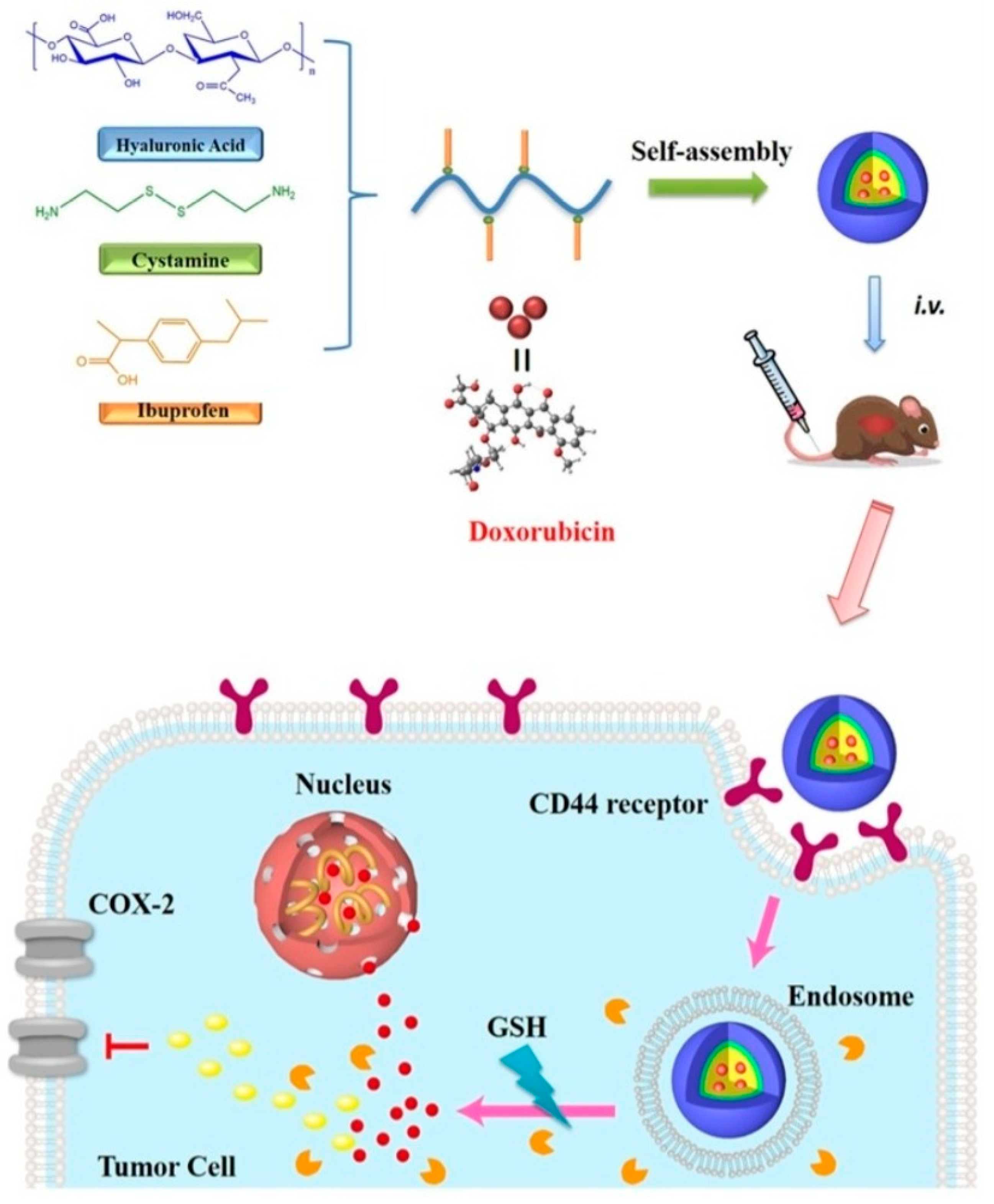 Nanomaterials 12 02948 g006