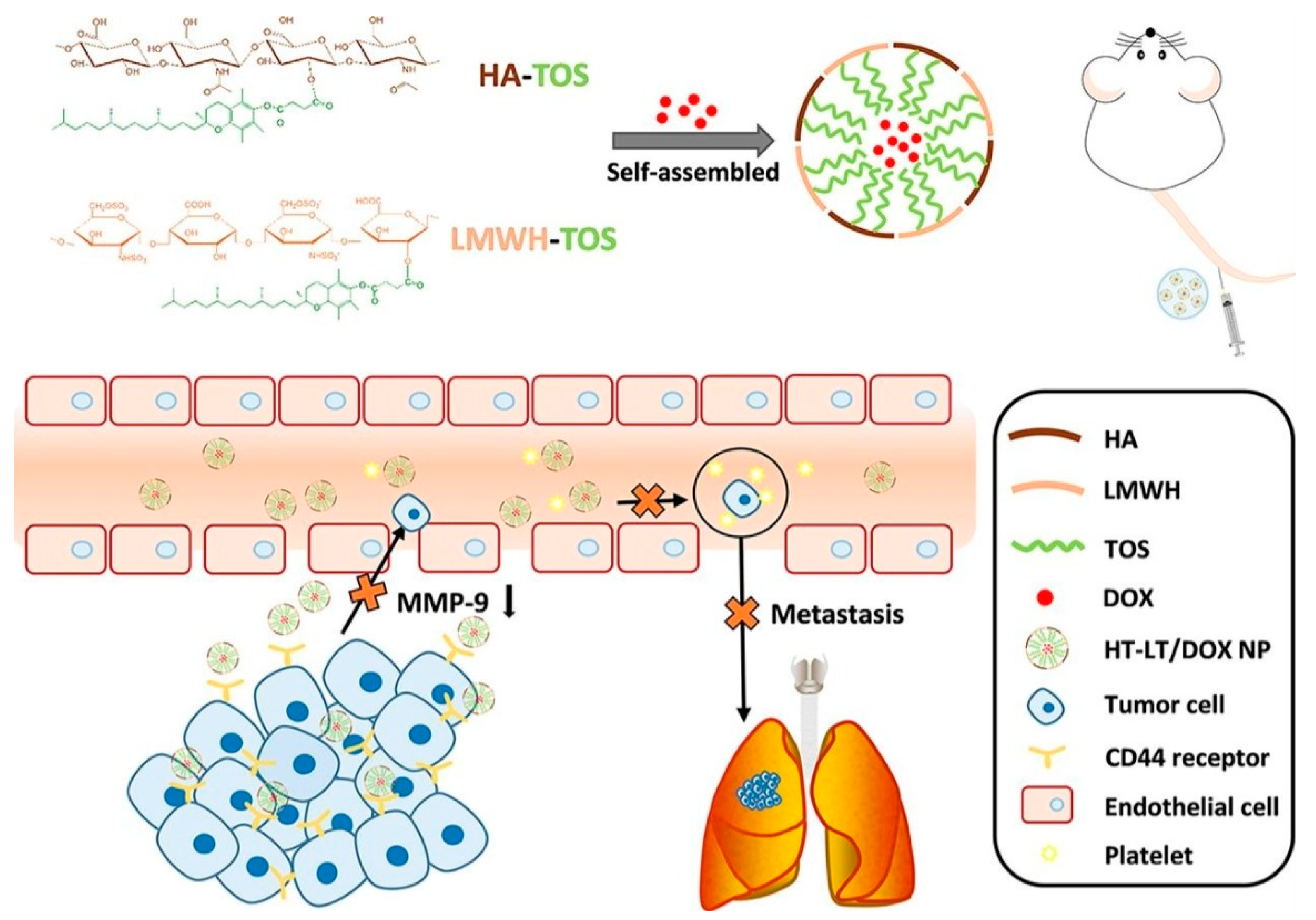 Nanomaterials 12 02948 g007