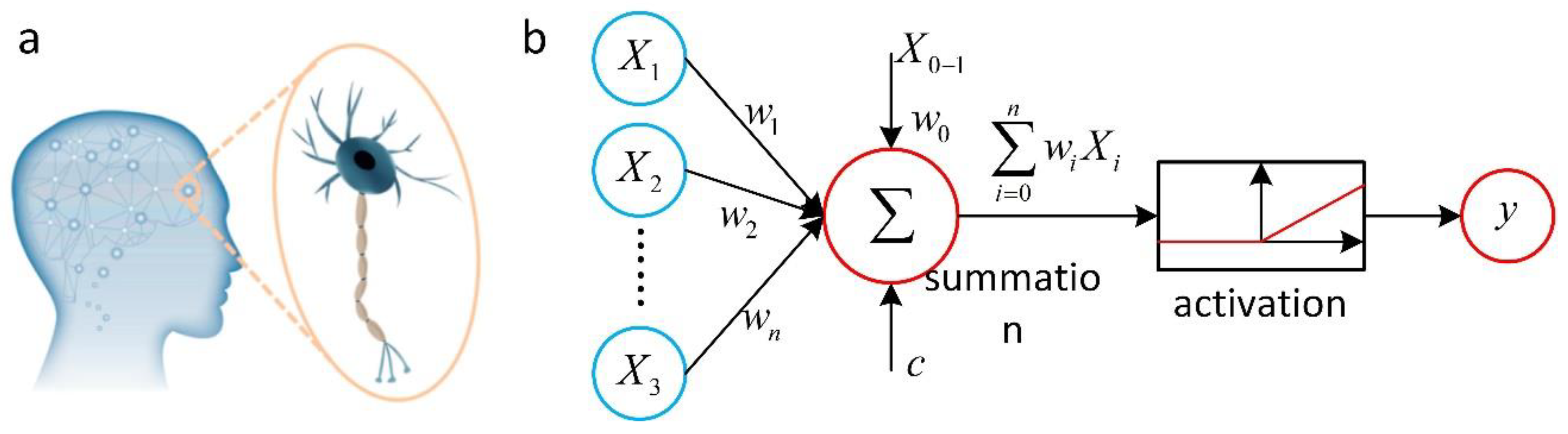 Nanomaterials 12 02957 g003