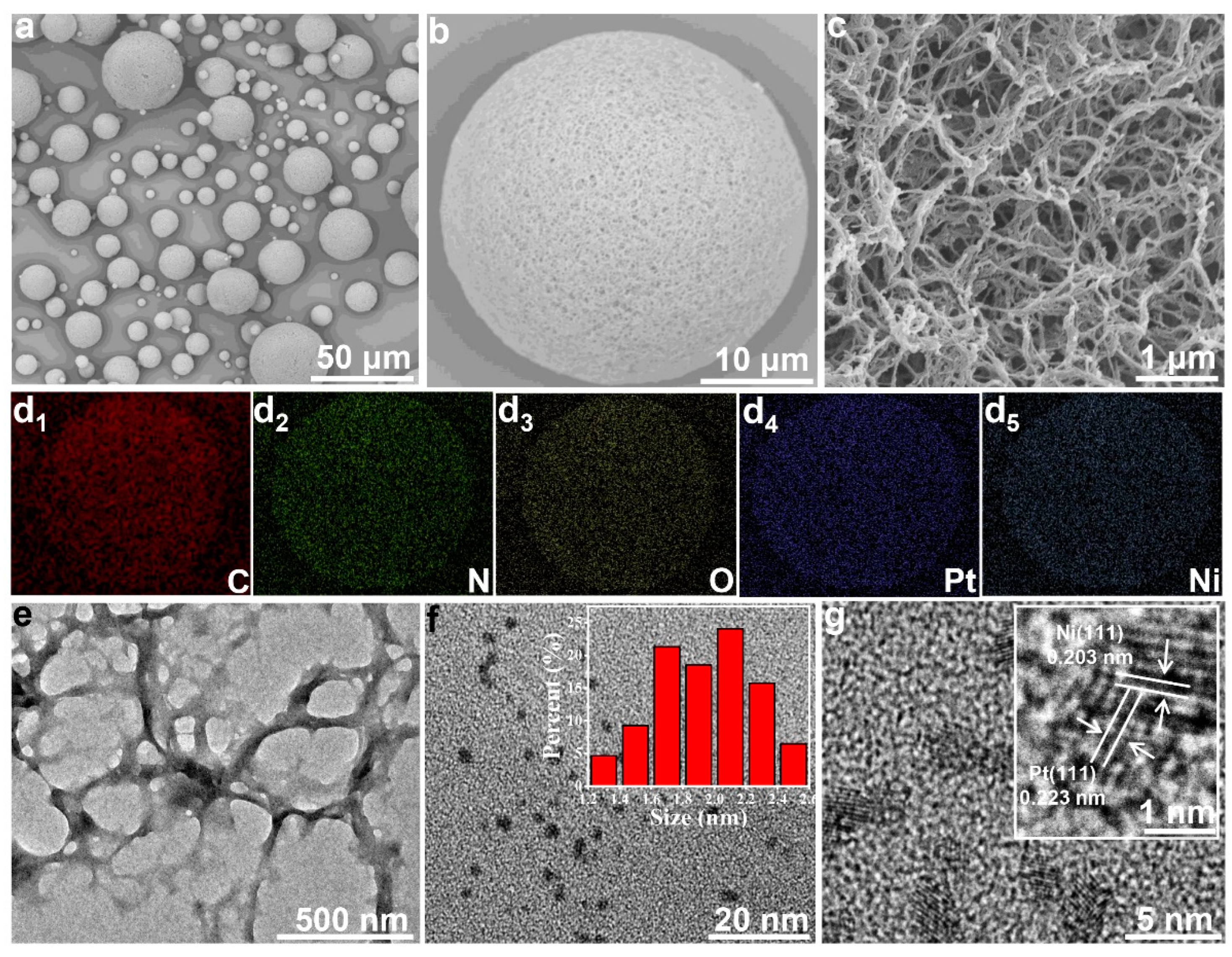 Nanomaterials 12 02968 g003 550