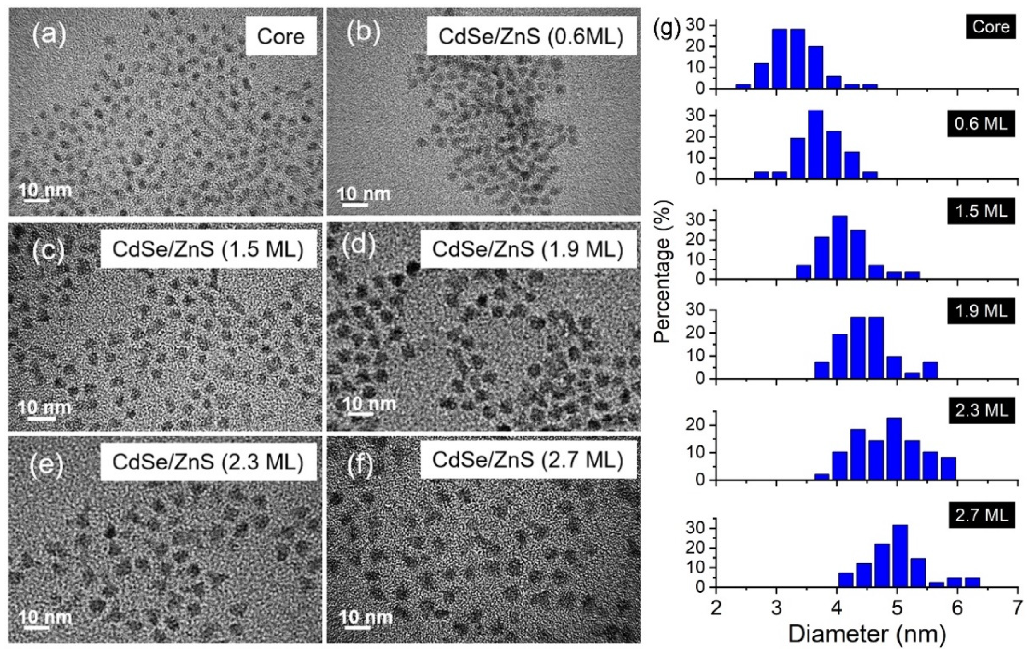 Nanomaterials 12 02969 g005 550