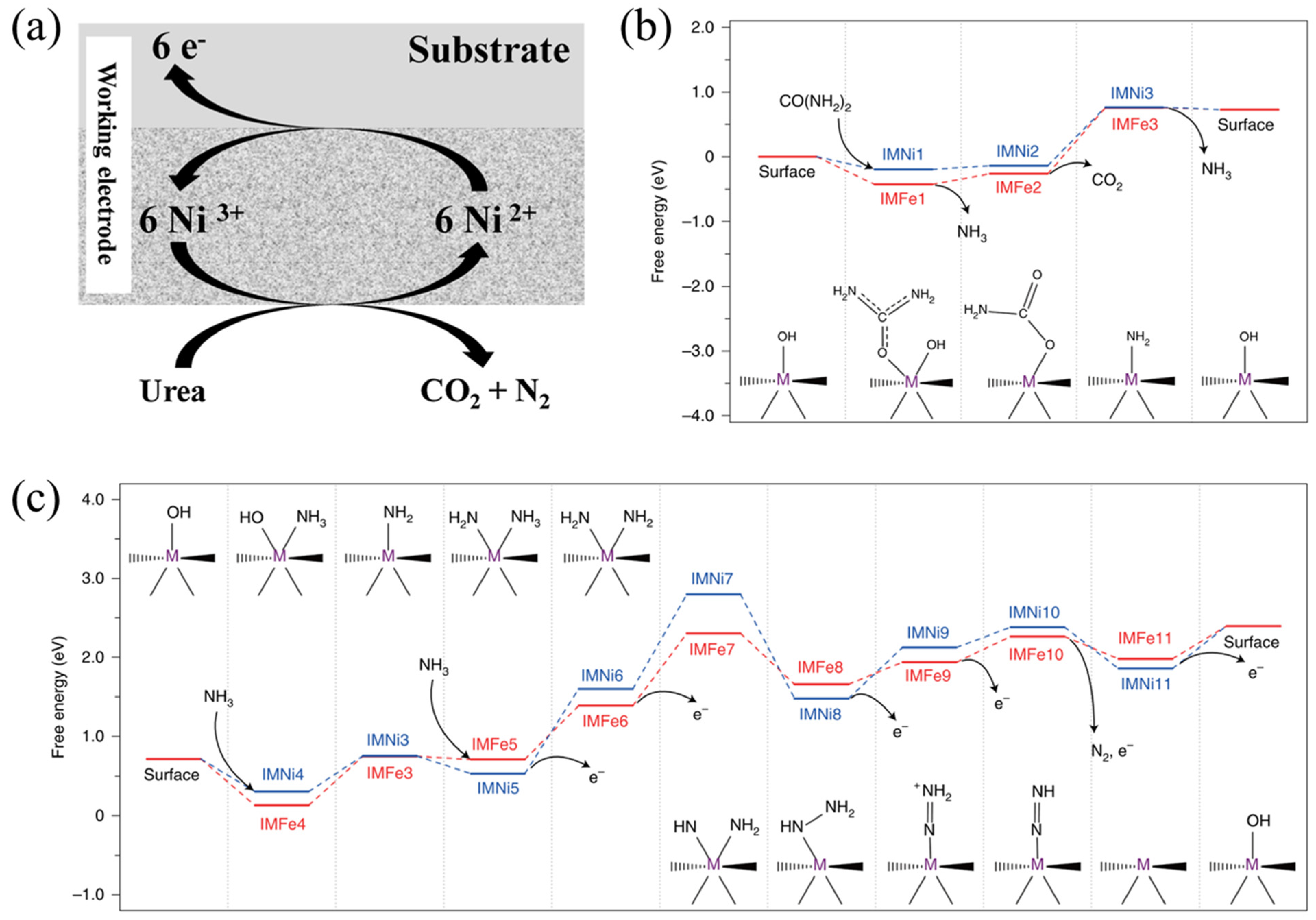 Nanomaterials 12 02970 g003