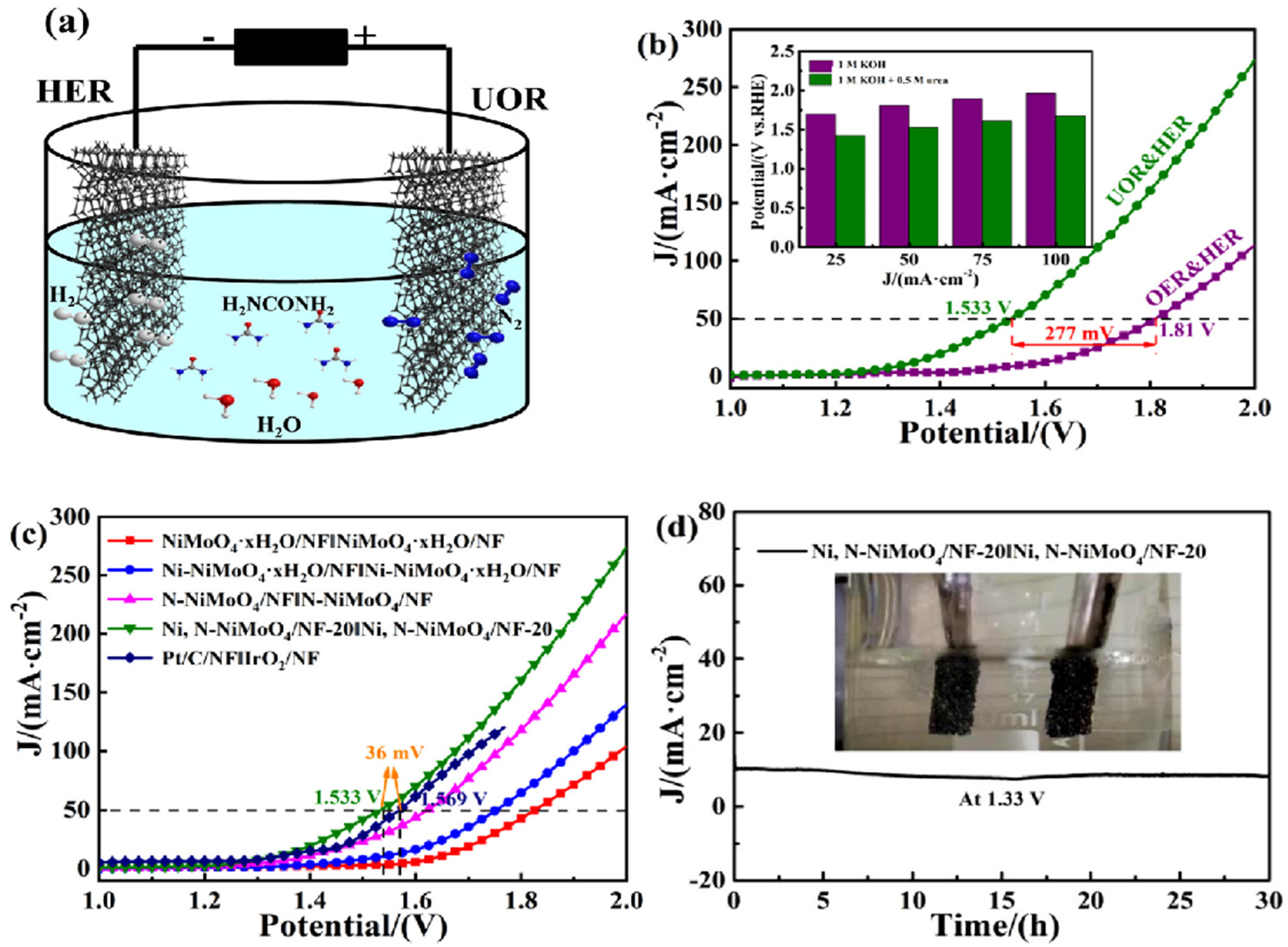 Nanomaterials 12 02970 g017