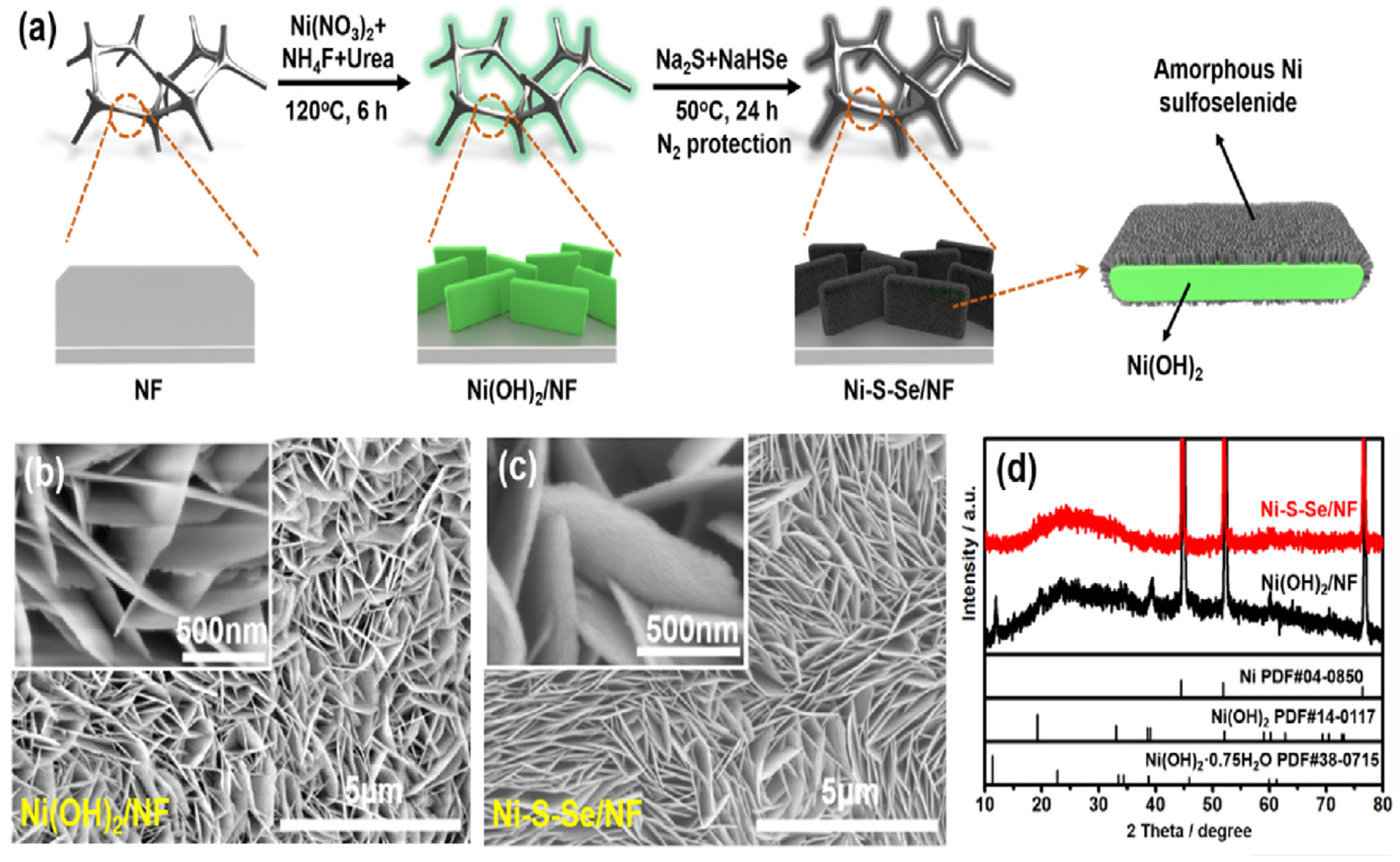 Nanomaterials 12 02970 g022