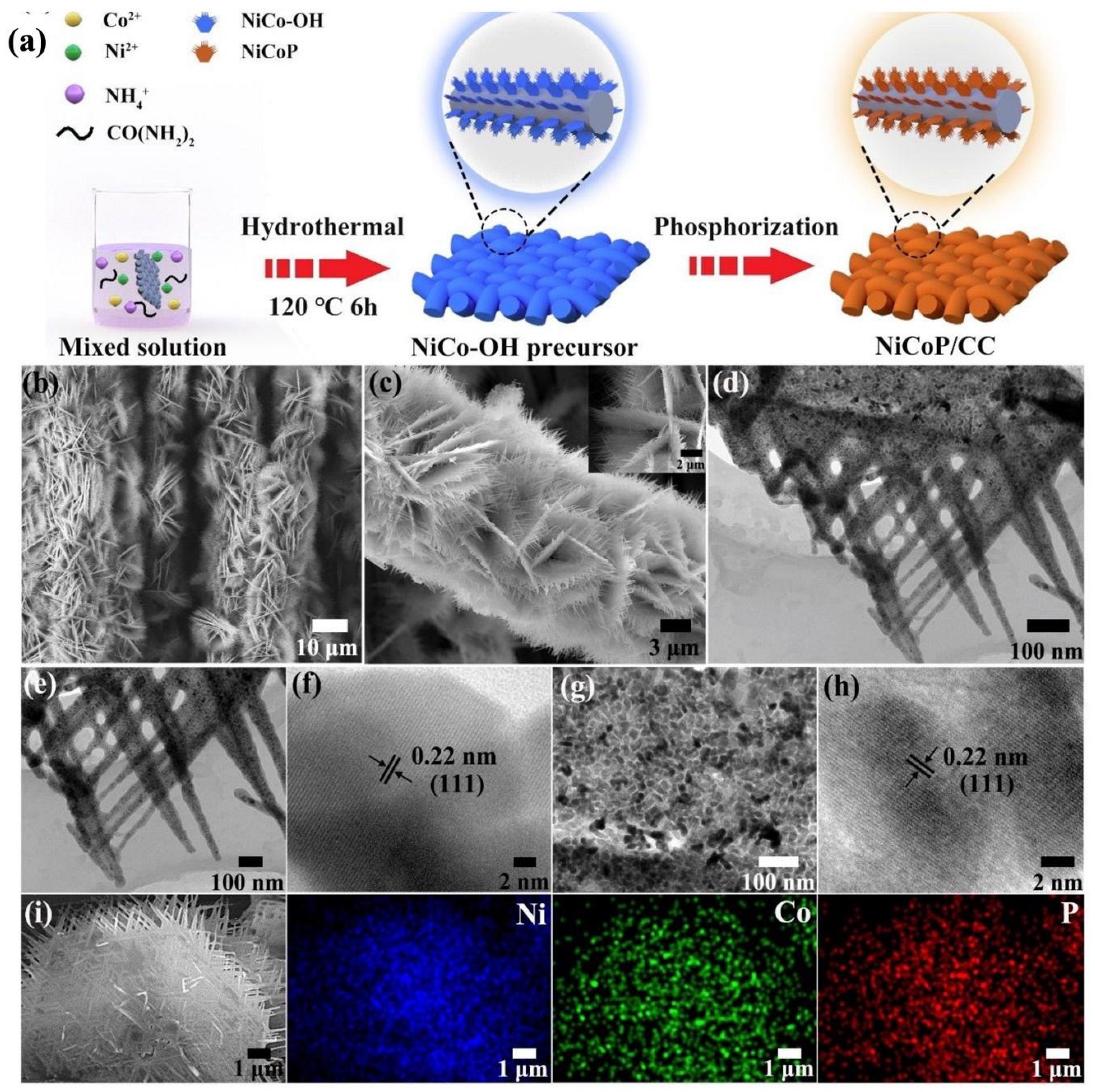 Nanomaterials 12 02970 g024