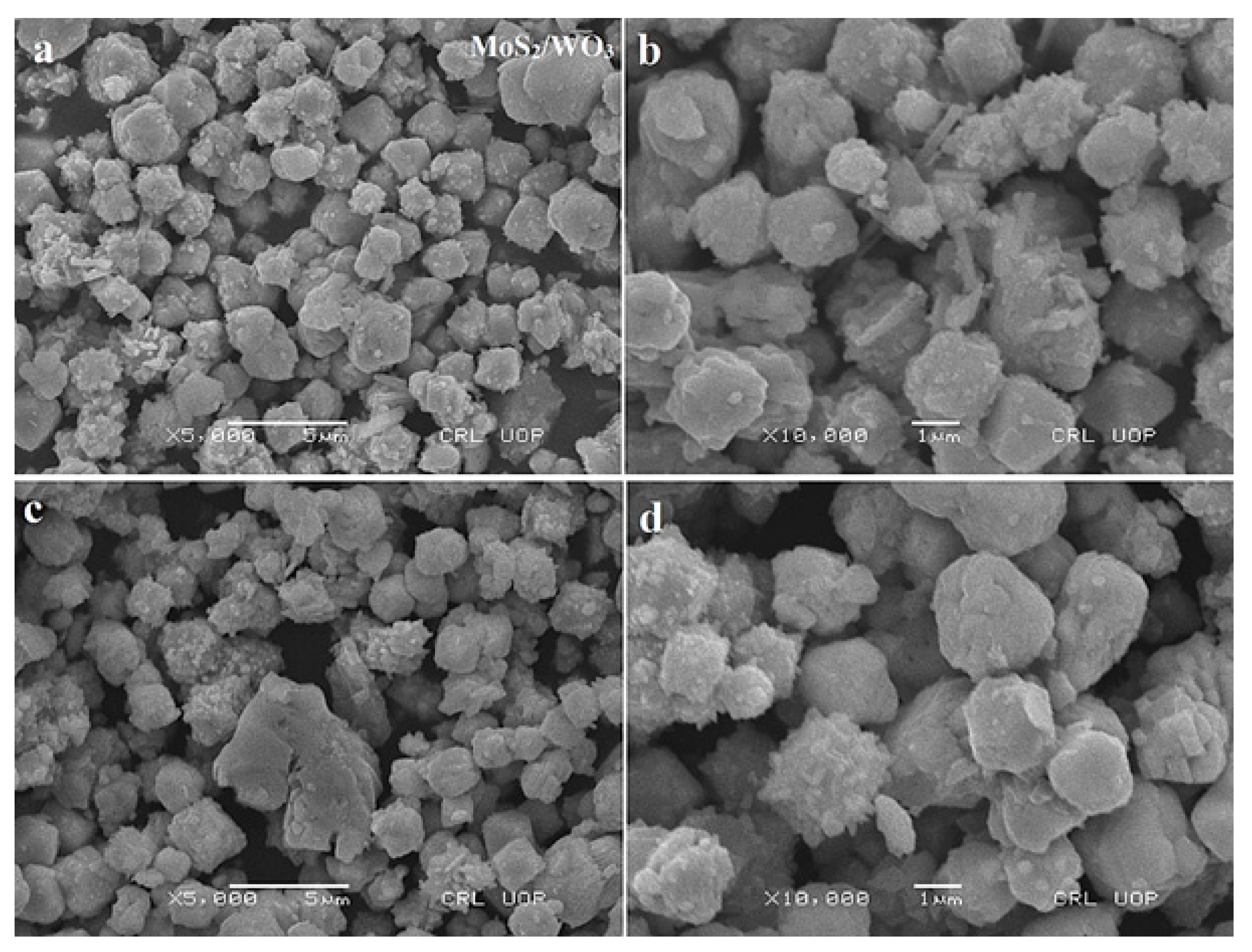 Nanomaterials 12 02974 g002
