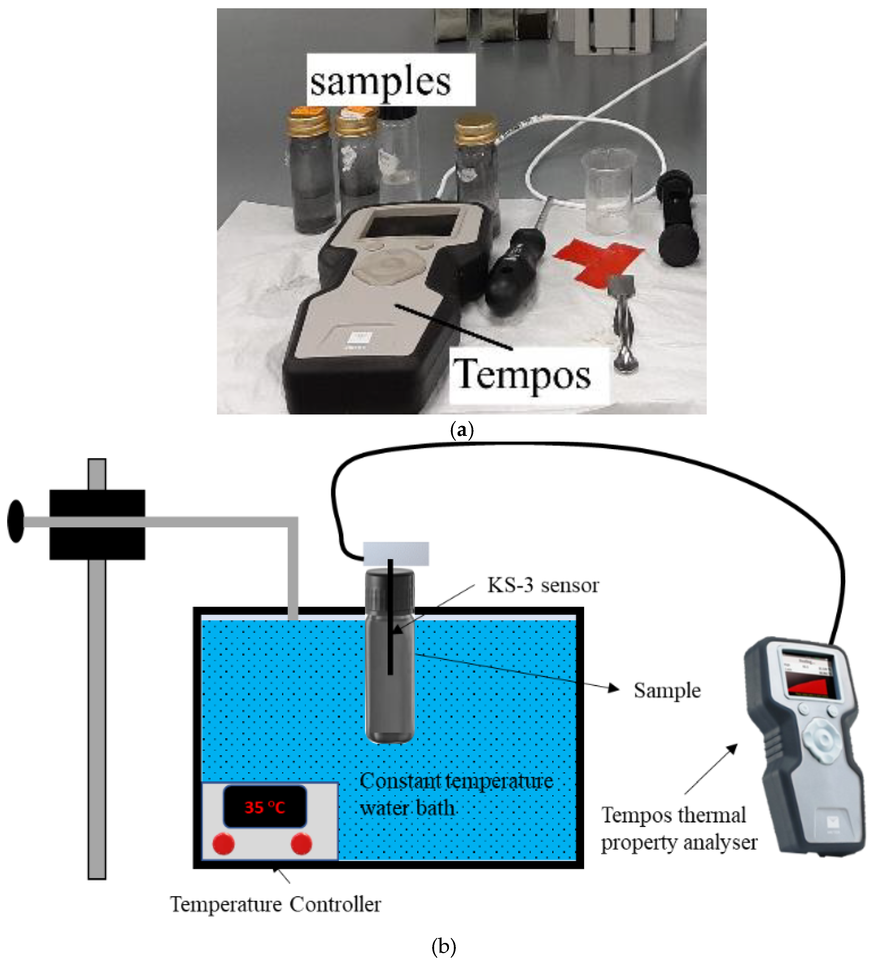 Nanomaterials 12 02975 g002 550