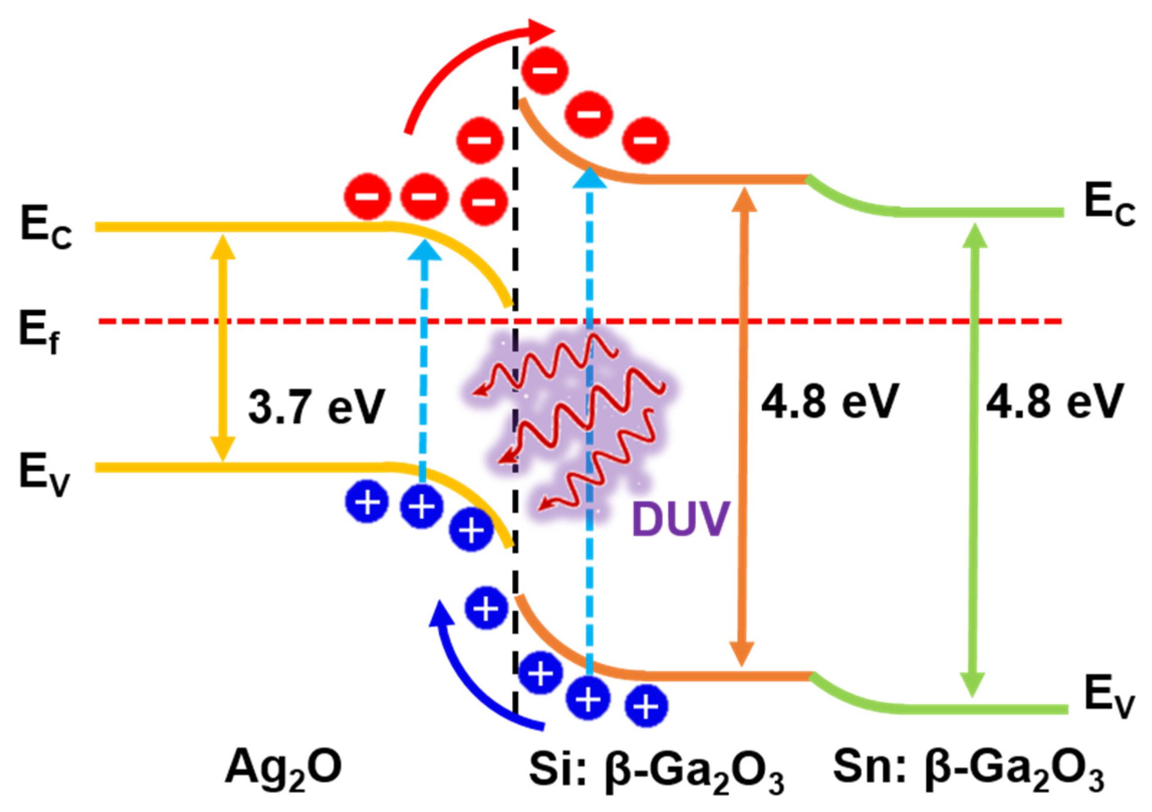 Nanomaterials 12 02983 g009