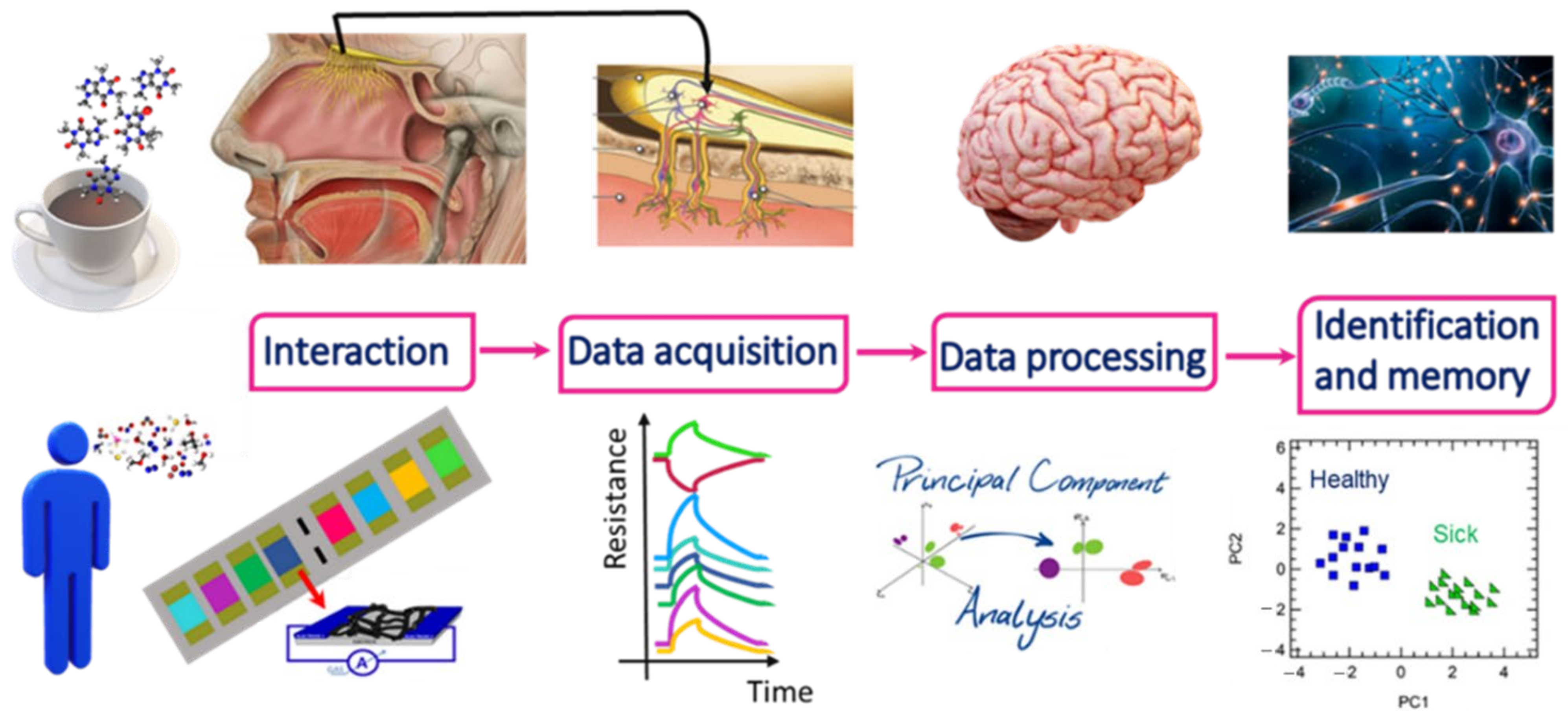 Nanomaterials 12 02992 g002