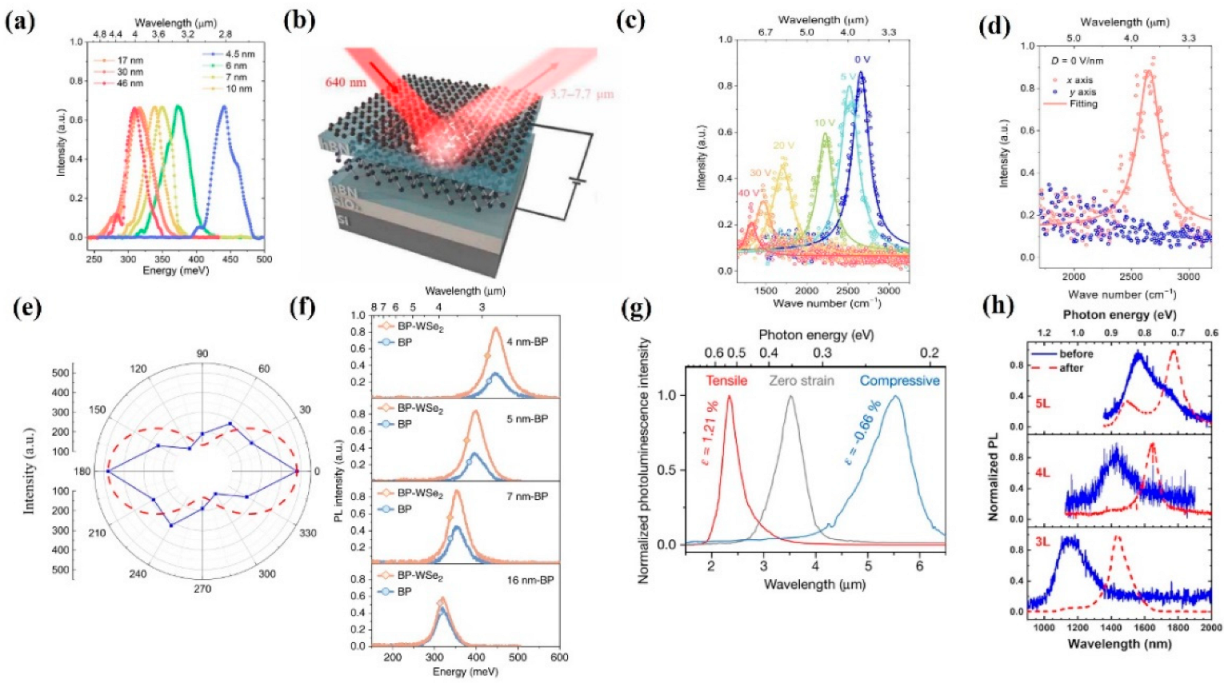 Nanomaterials 12 02996 g002 550