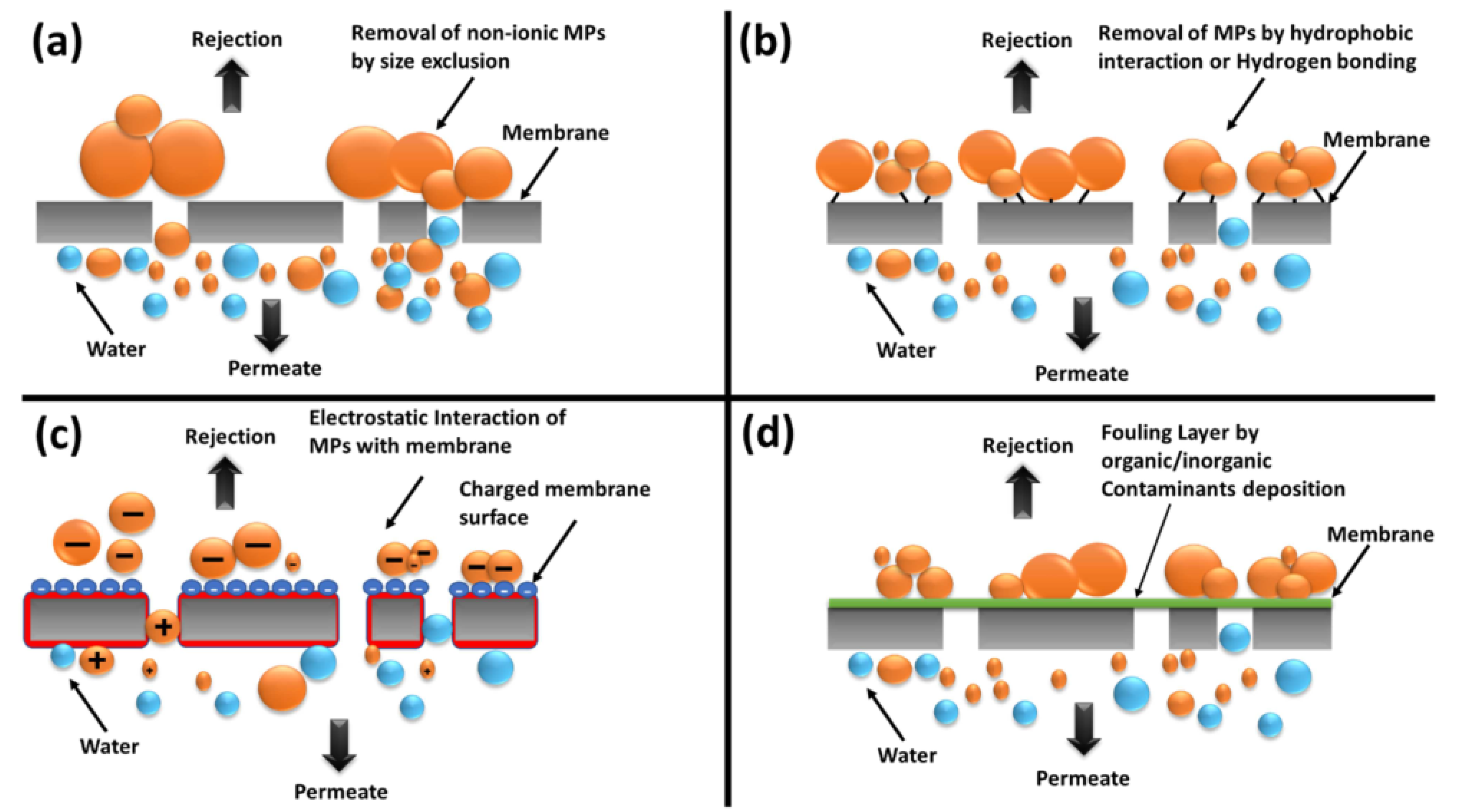 Nanomaterials 12 03002 g011