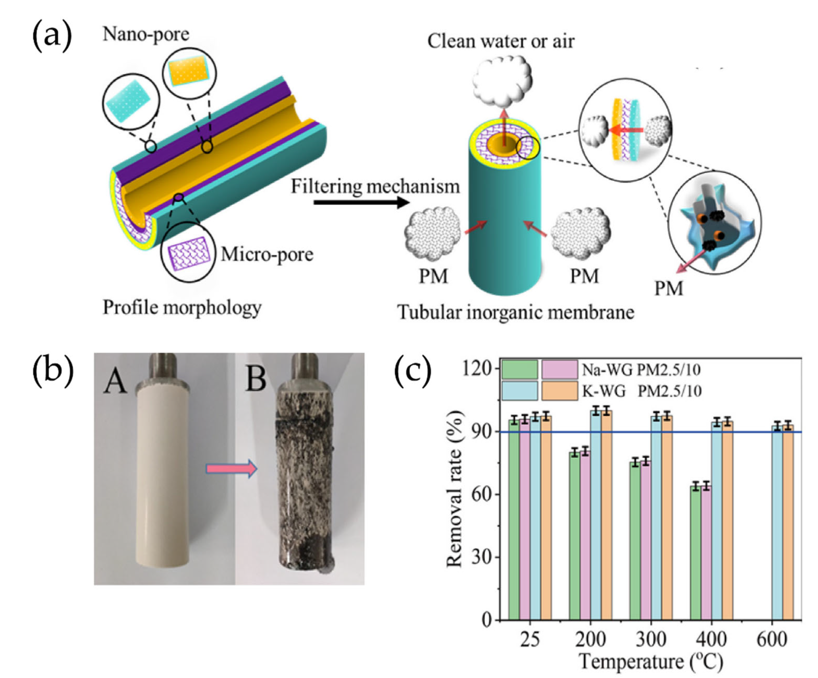Nanomaterials 12 03002 g012