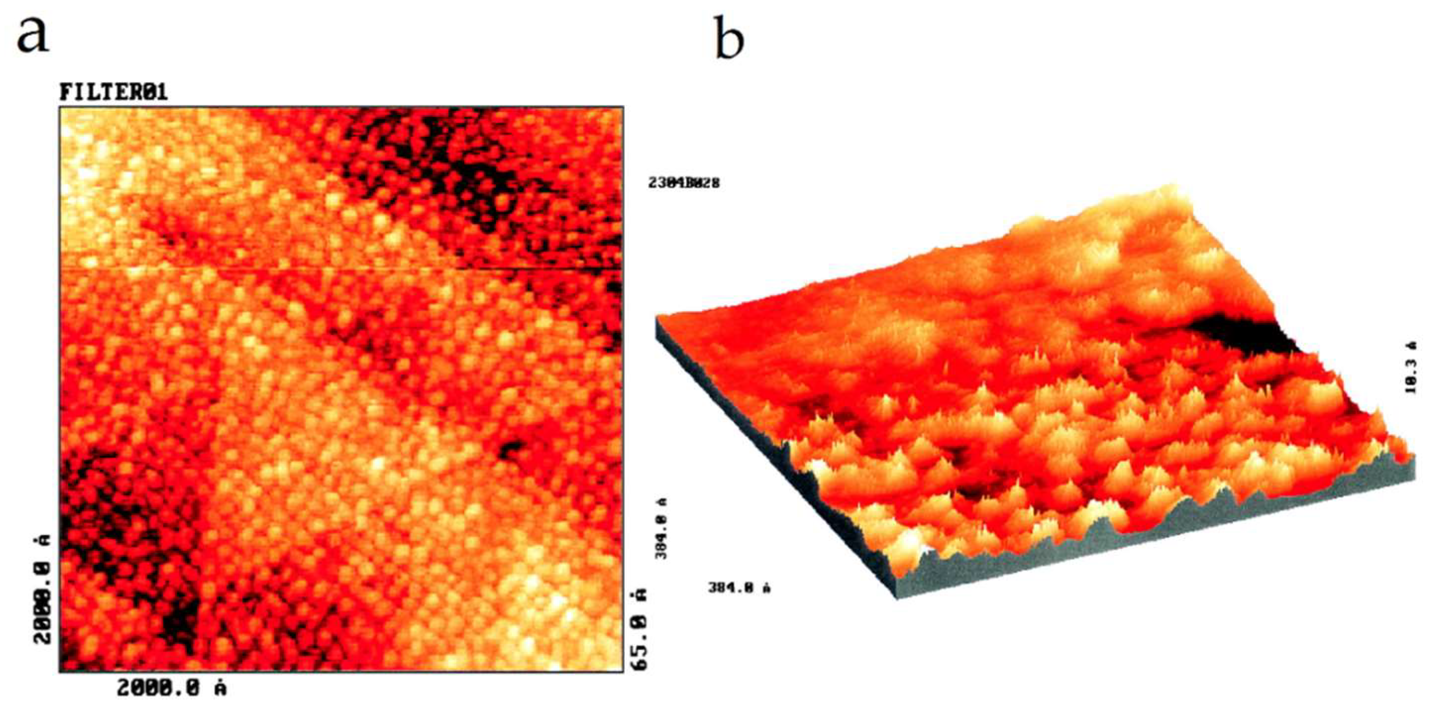 Nanomaterials 12 03013 g004 550