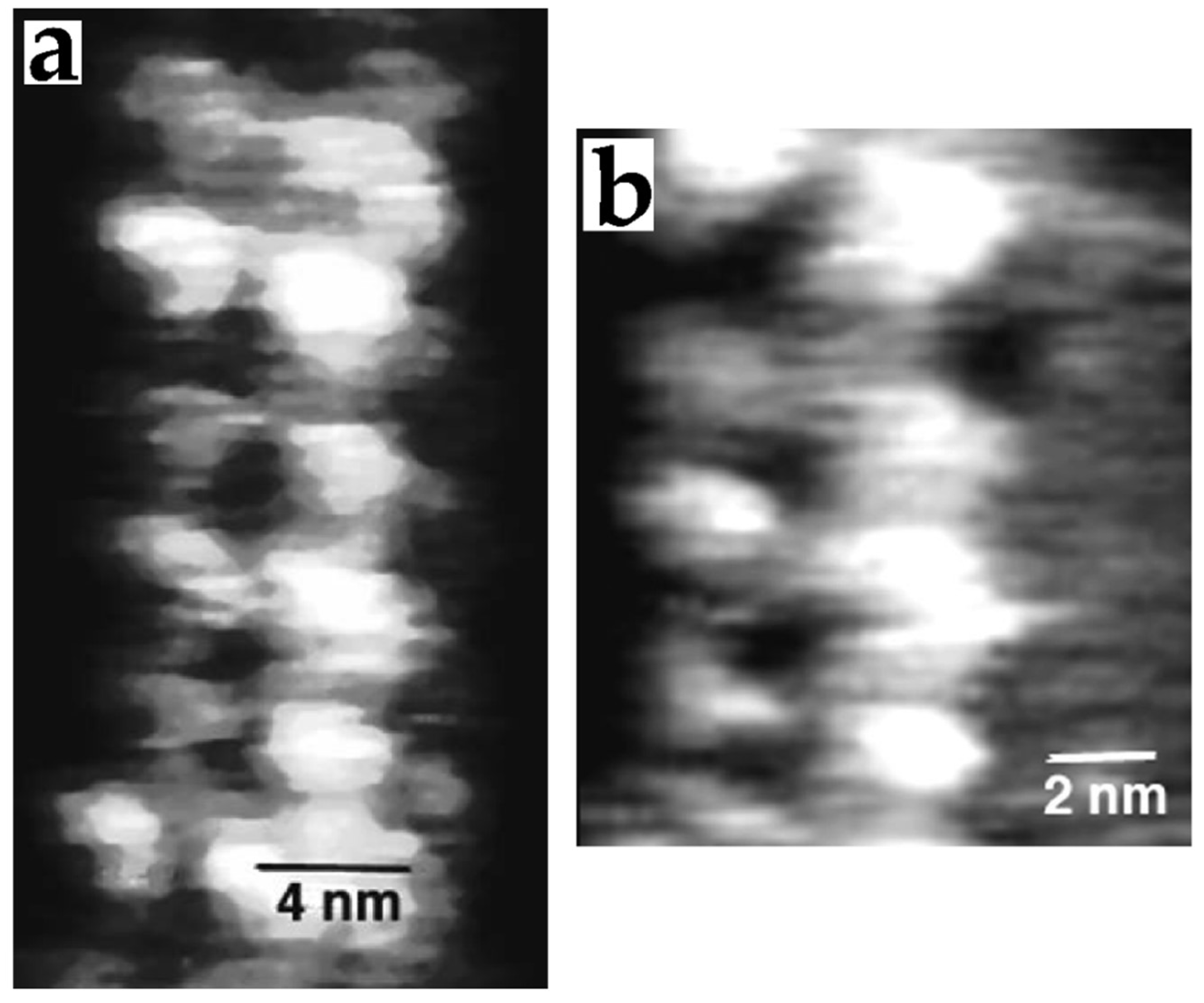 Nanomaterials 12 03013 g006 550