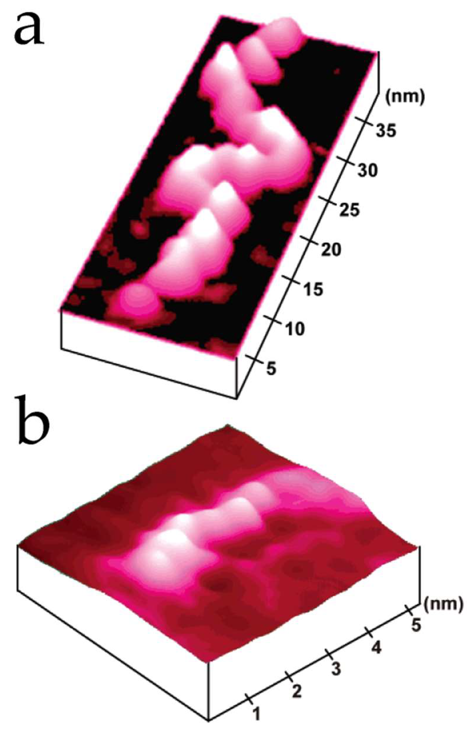 Nanomaterials 12 03013 g008 550