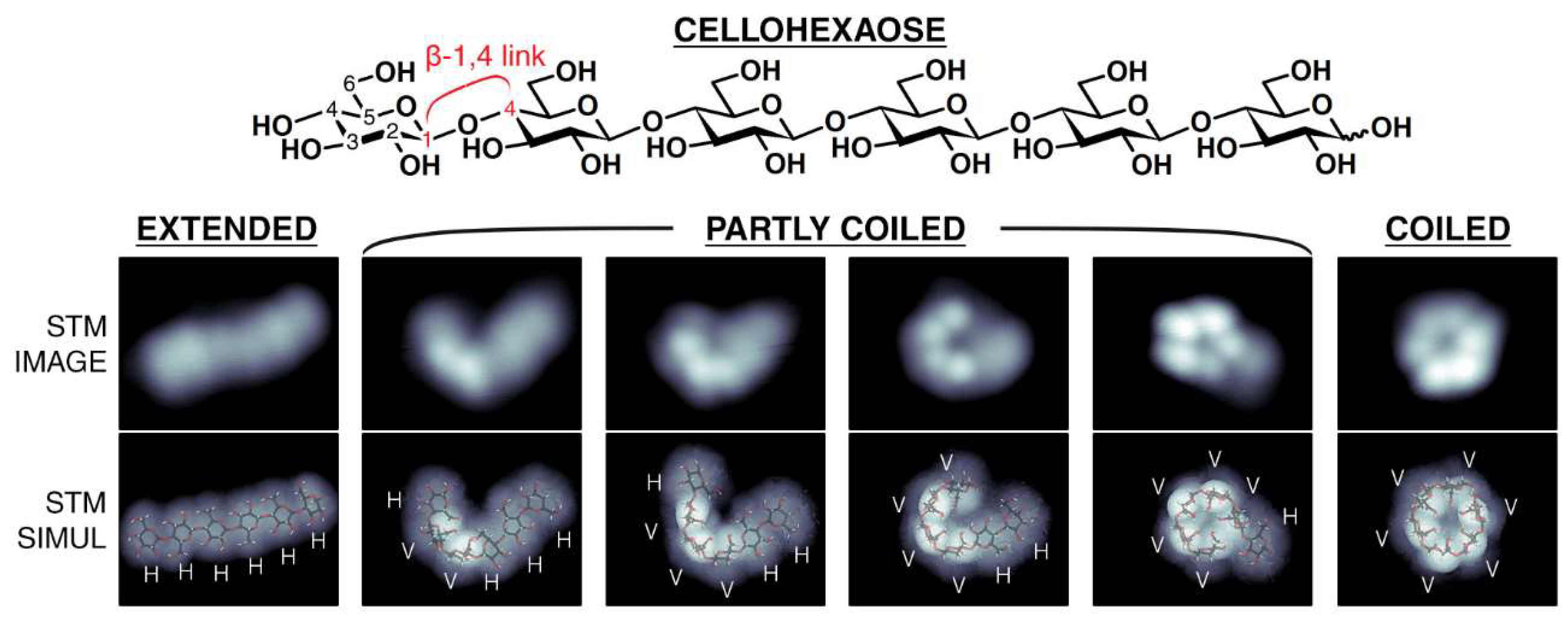 Nanomaterials 12 03013 g009 550
