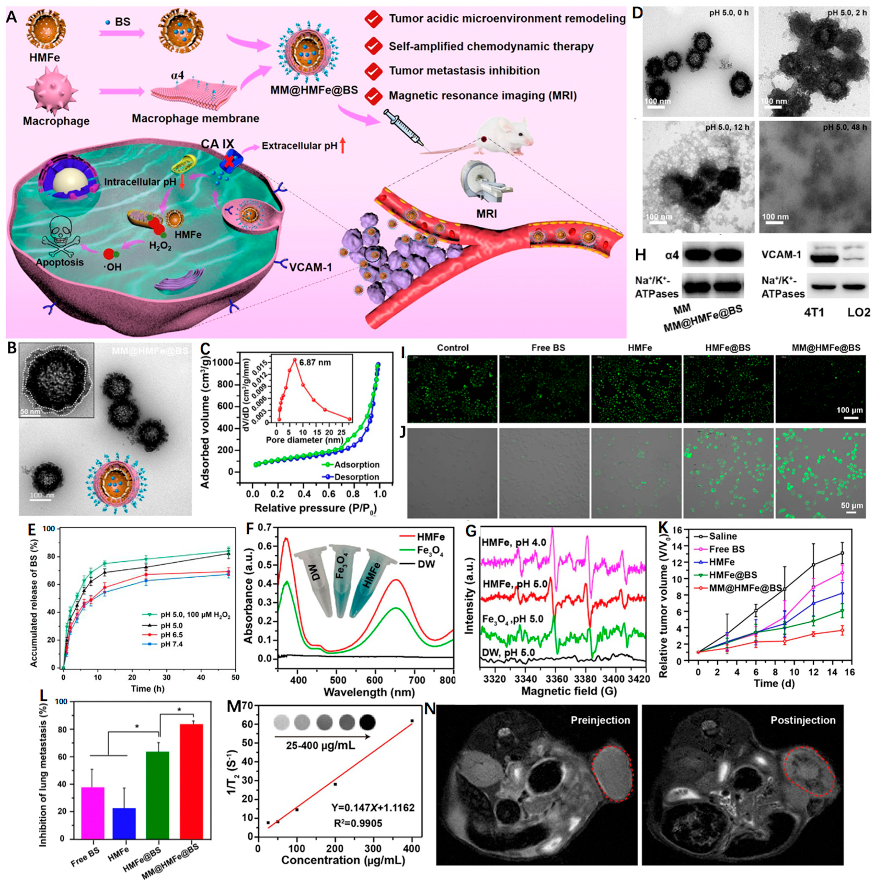 Nanomaterials 12 03023 g004 550