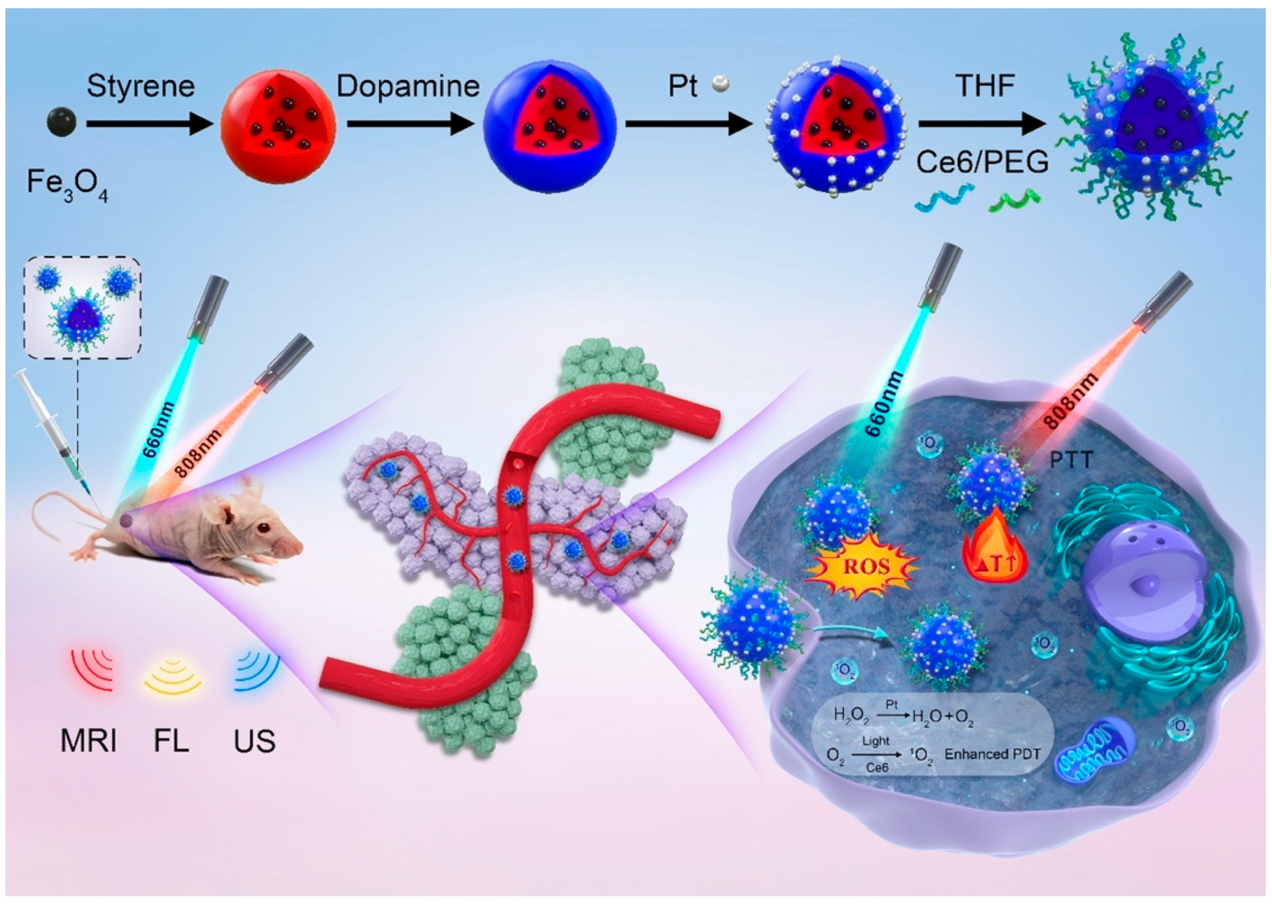 Nanomaterials 12 03023 g006 550