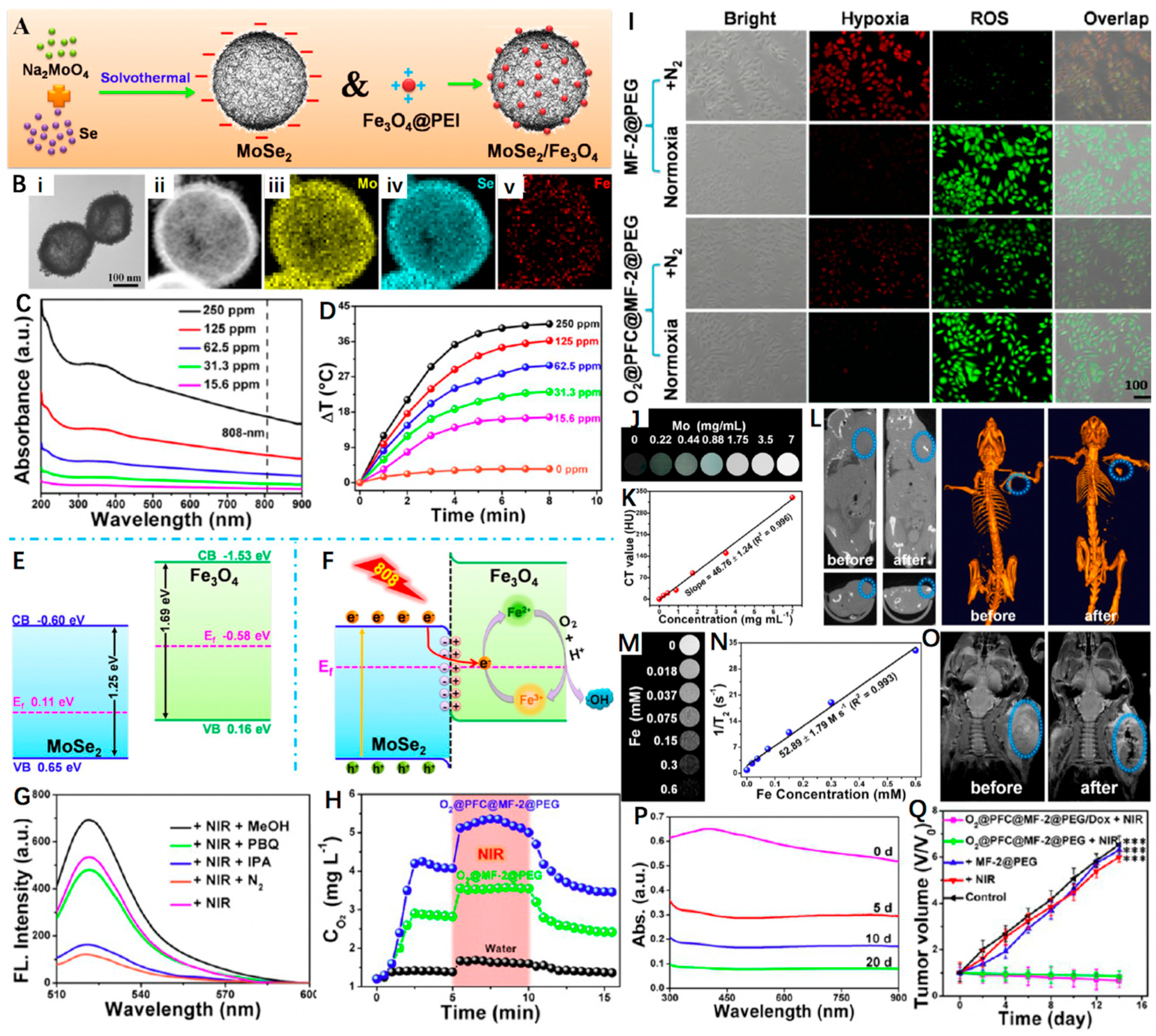 Nanomaterials 12 03023 g007 550