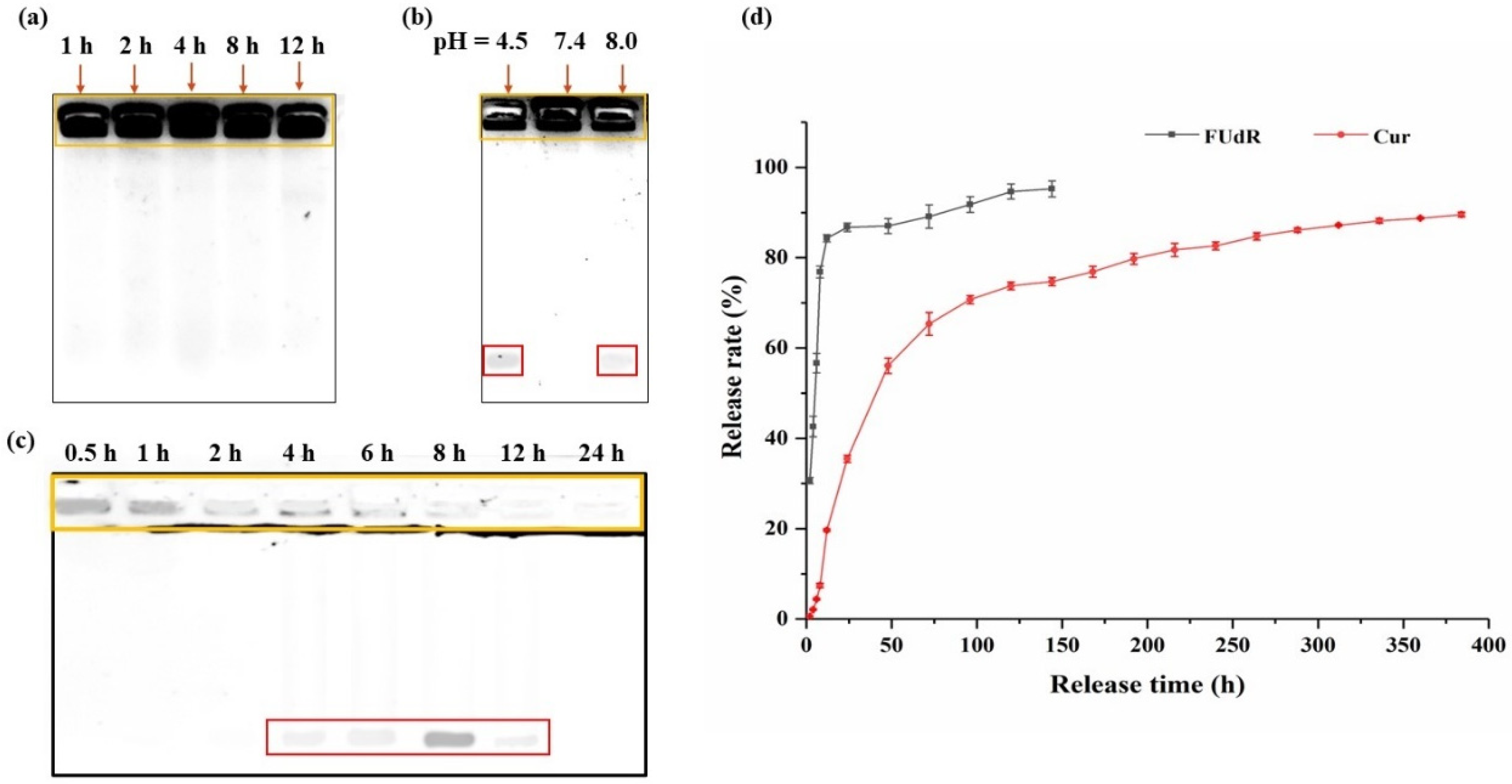 Nanomaterials 12 03024 g003