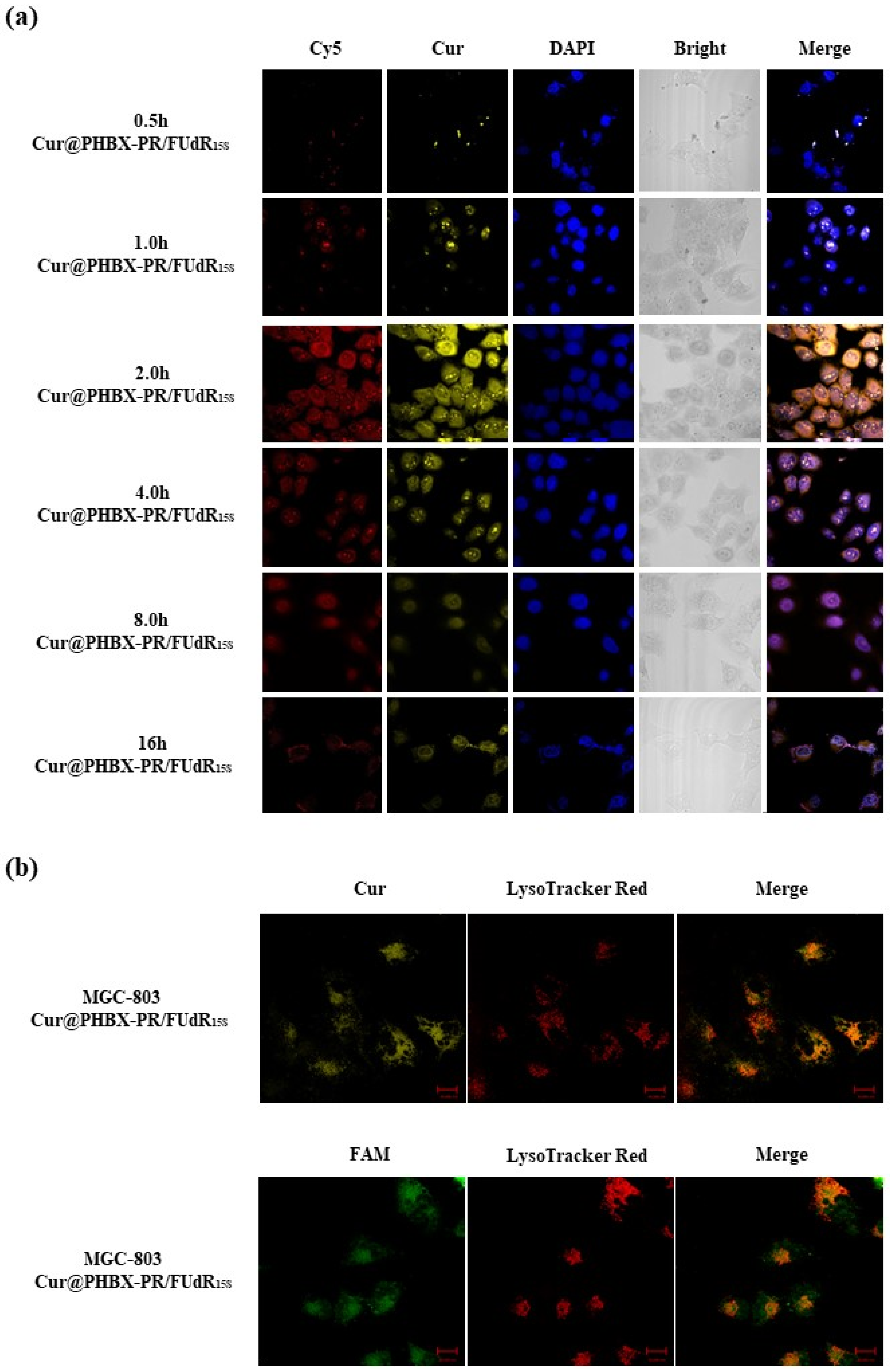 Nanomaterials 12 03024 g004