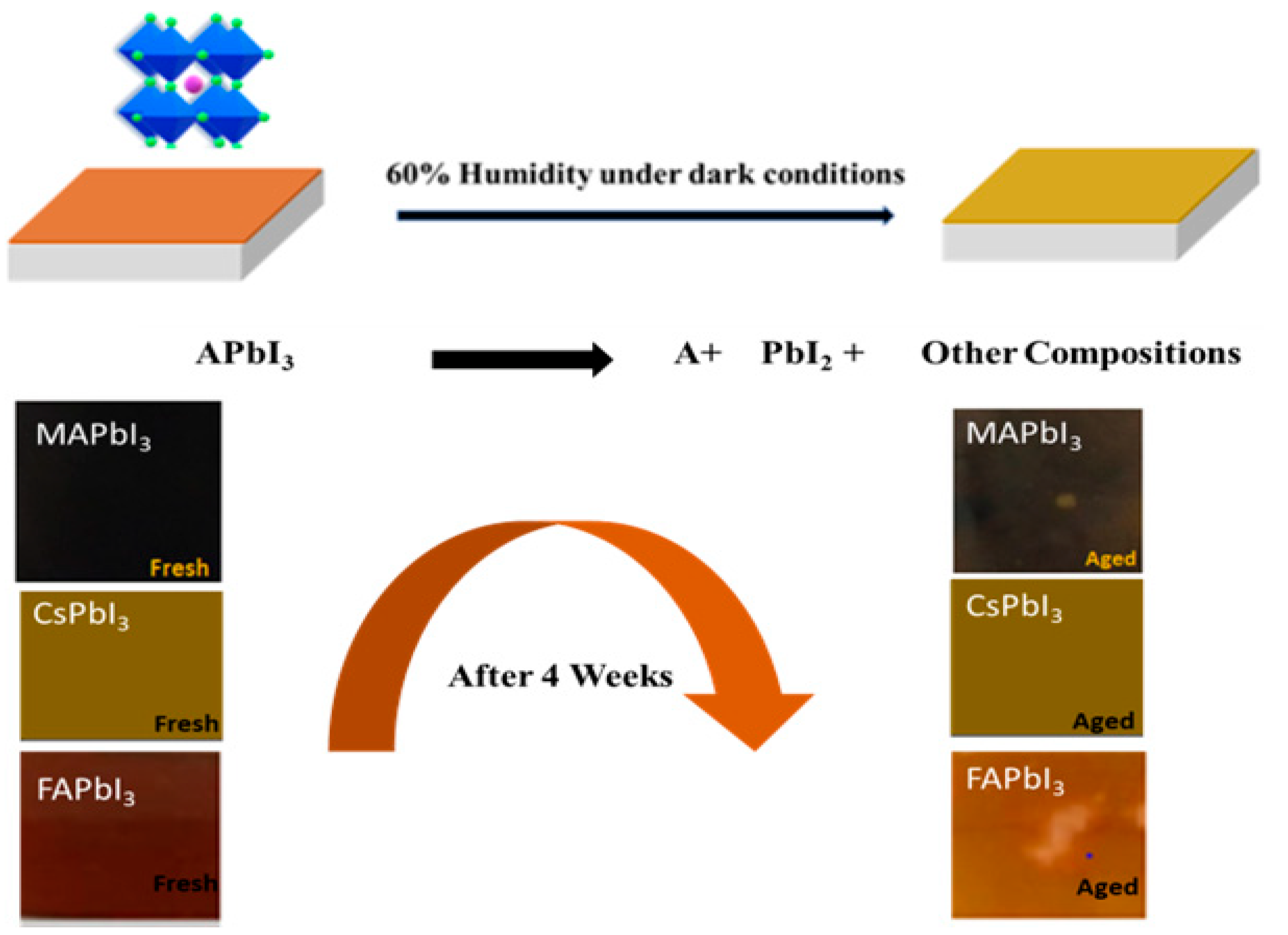 Nanomaterials 12 03027 g008 550