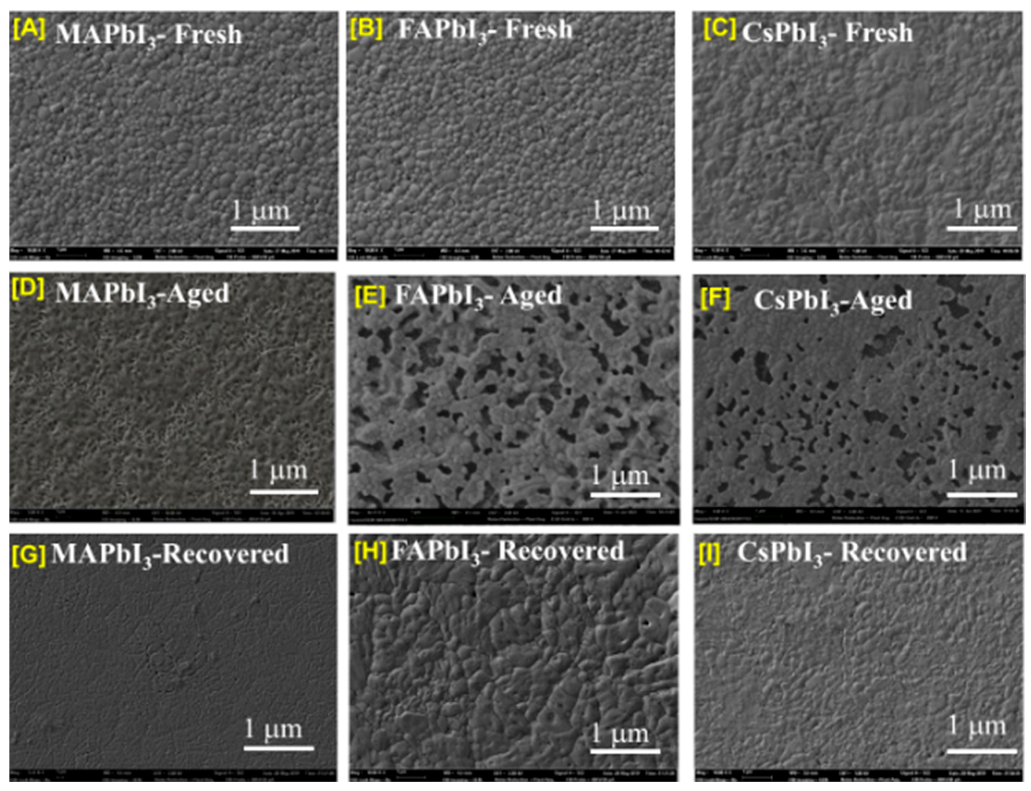 Nanomaterials 12 03027 g012 550