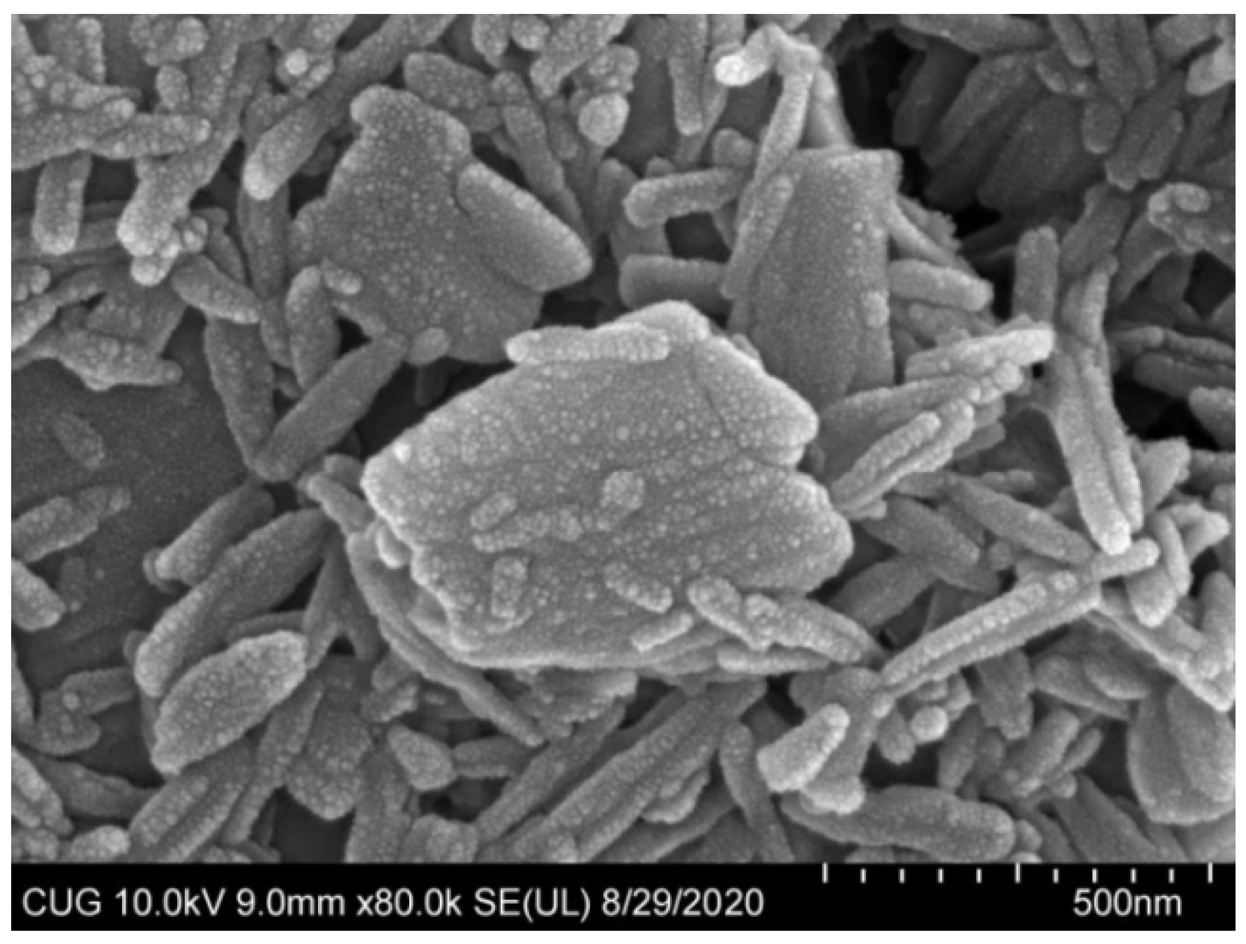 Nanomaterials 12 03032 g006