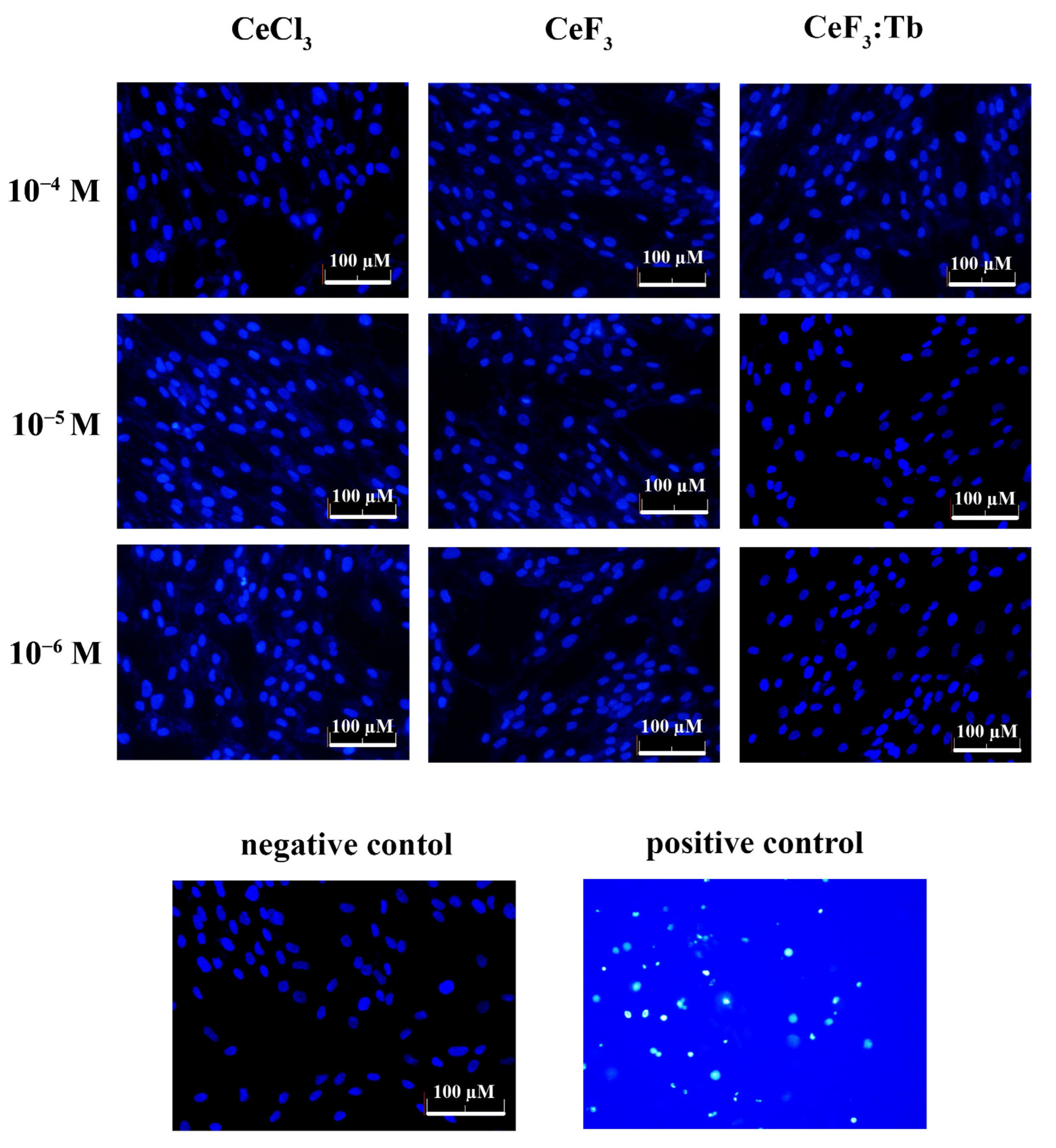 Nanomaterials 12 03034 g011