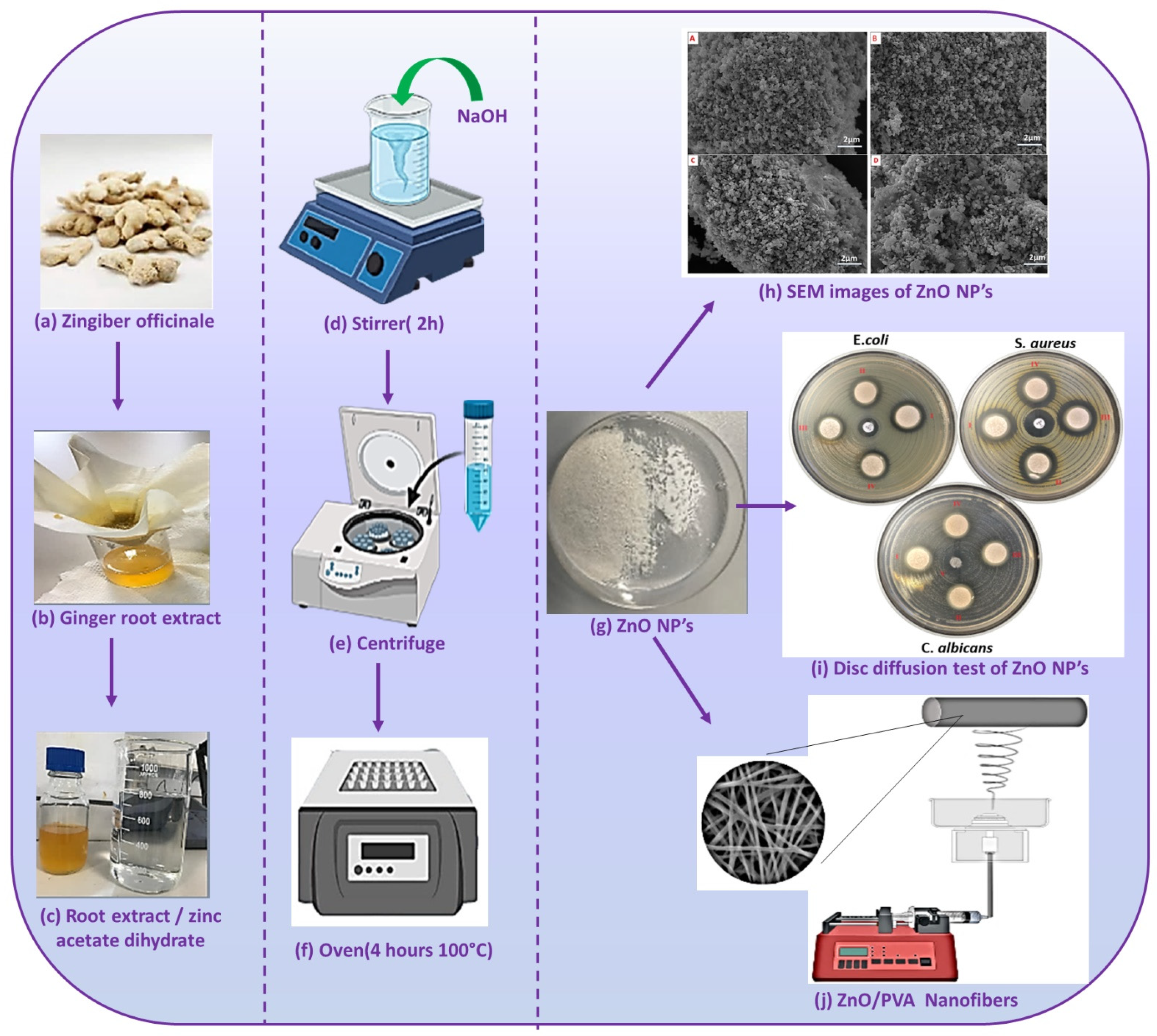 Nanomaterials 12 03040 g001