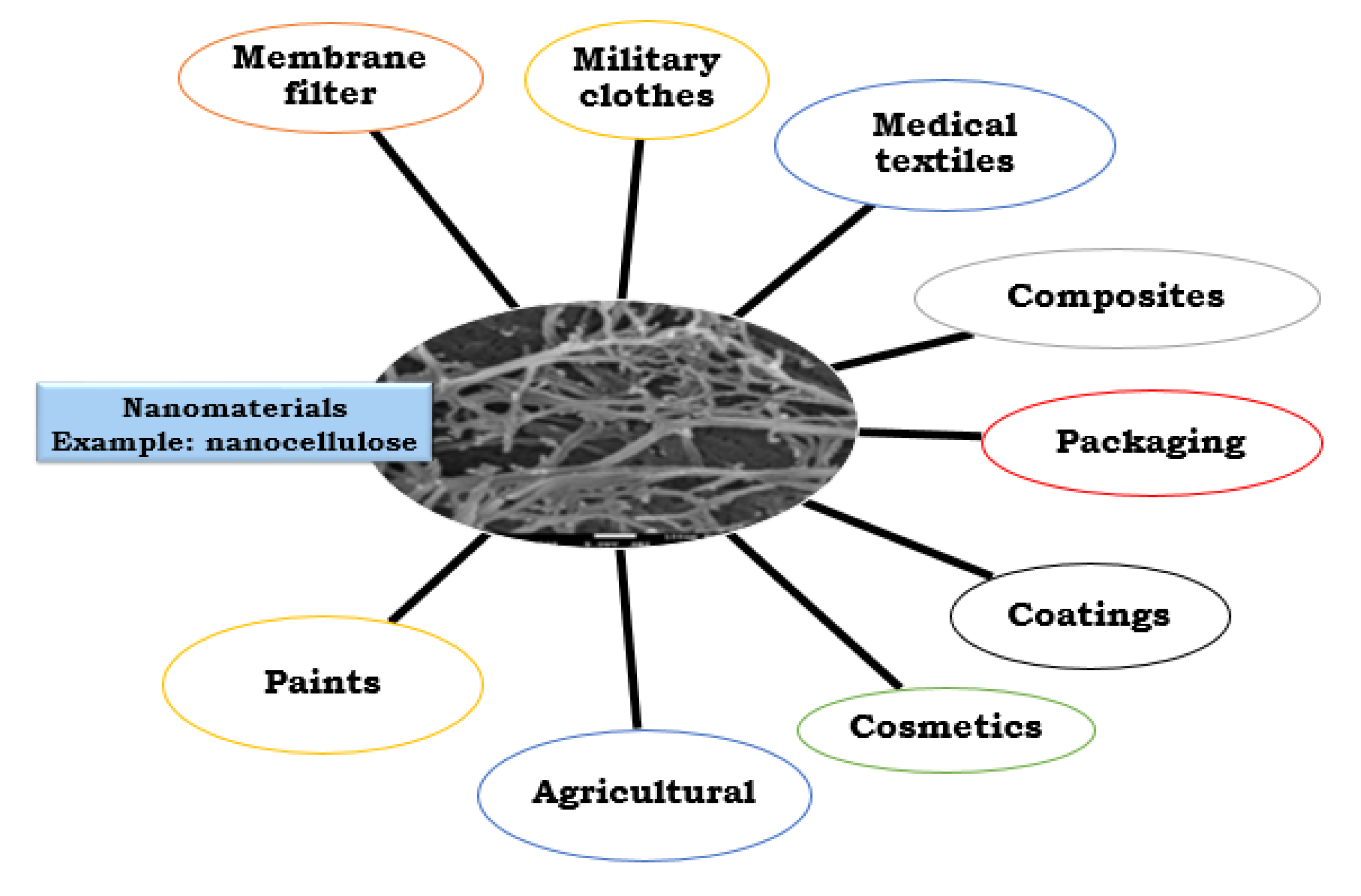 Nanomaterials 12 03045 g001 550