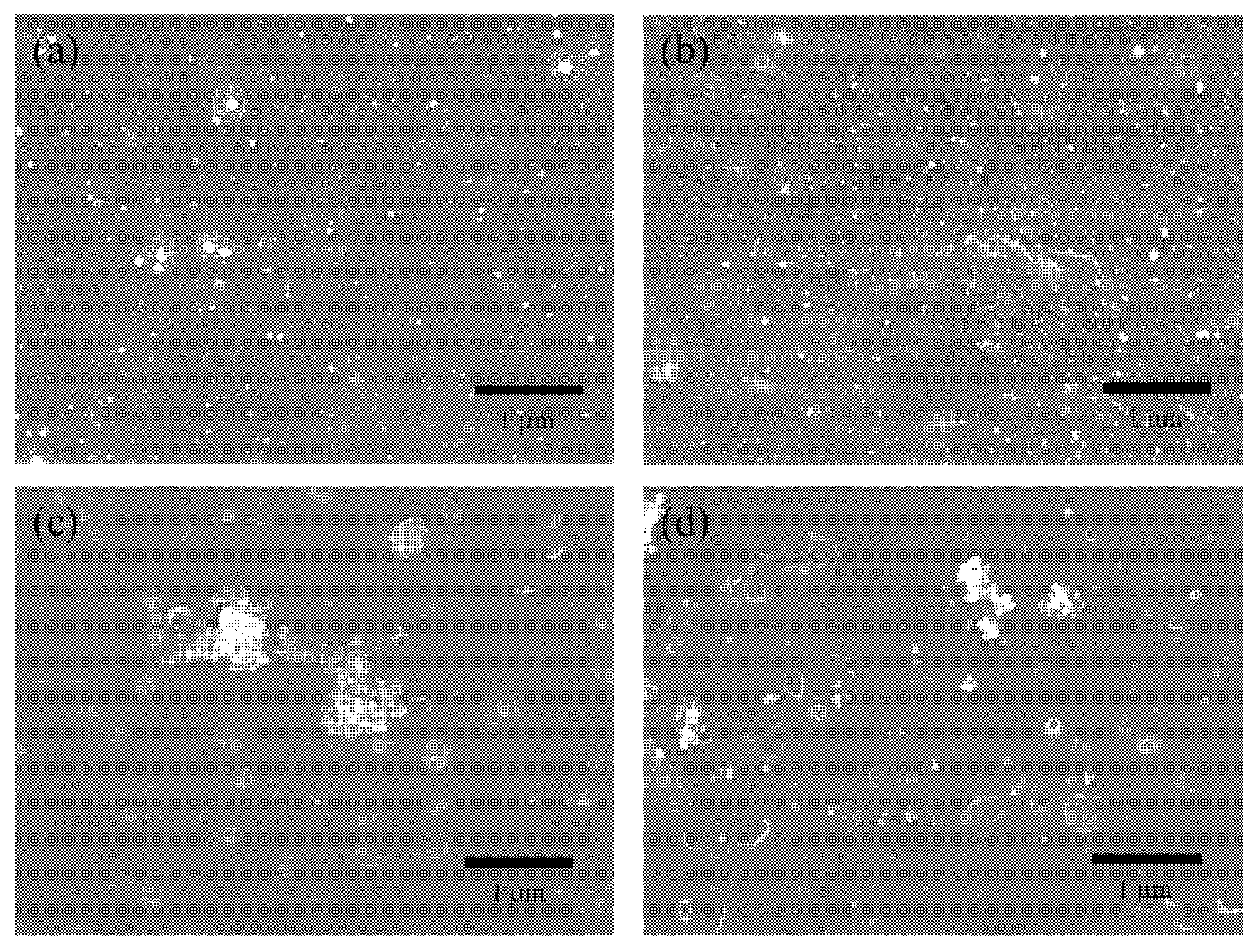 Nanomaterials 12 03046 g001