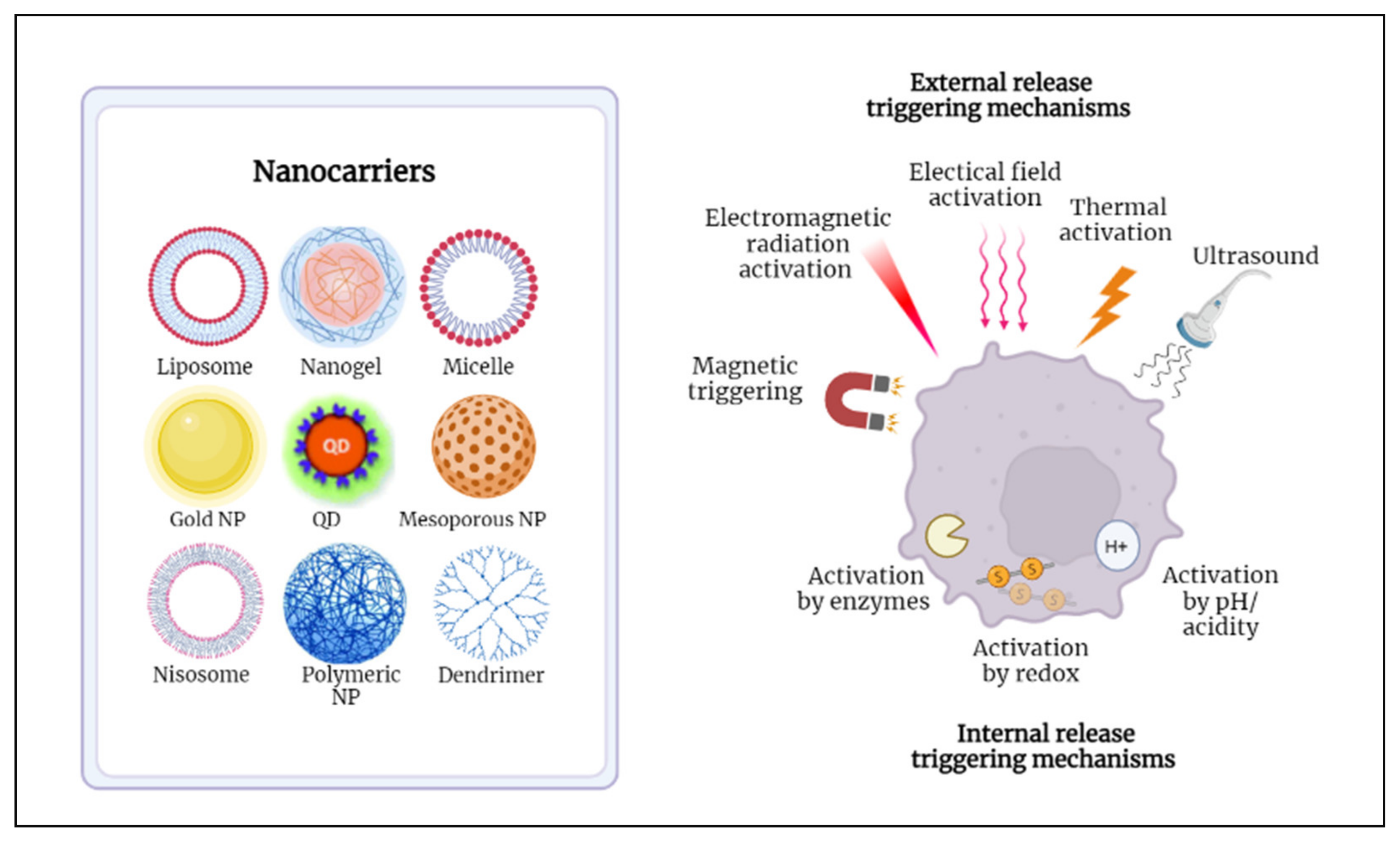 Nanomaterials 12 03051 g001