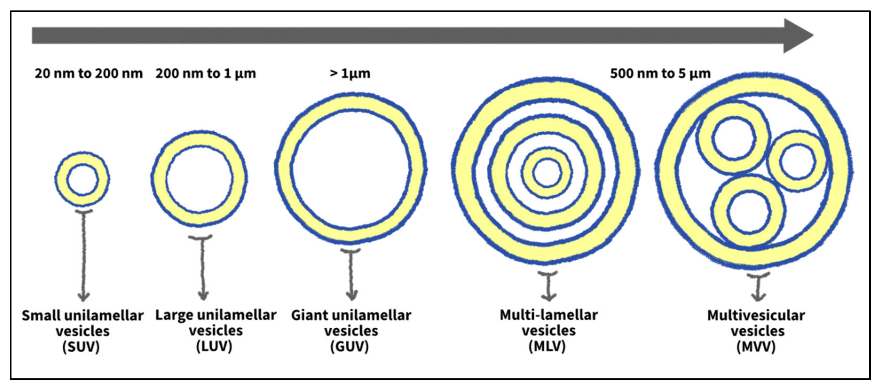 Nanomaterials 12 03051 g003