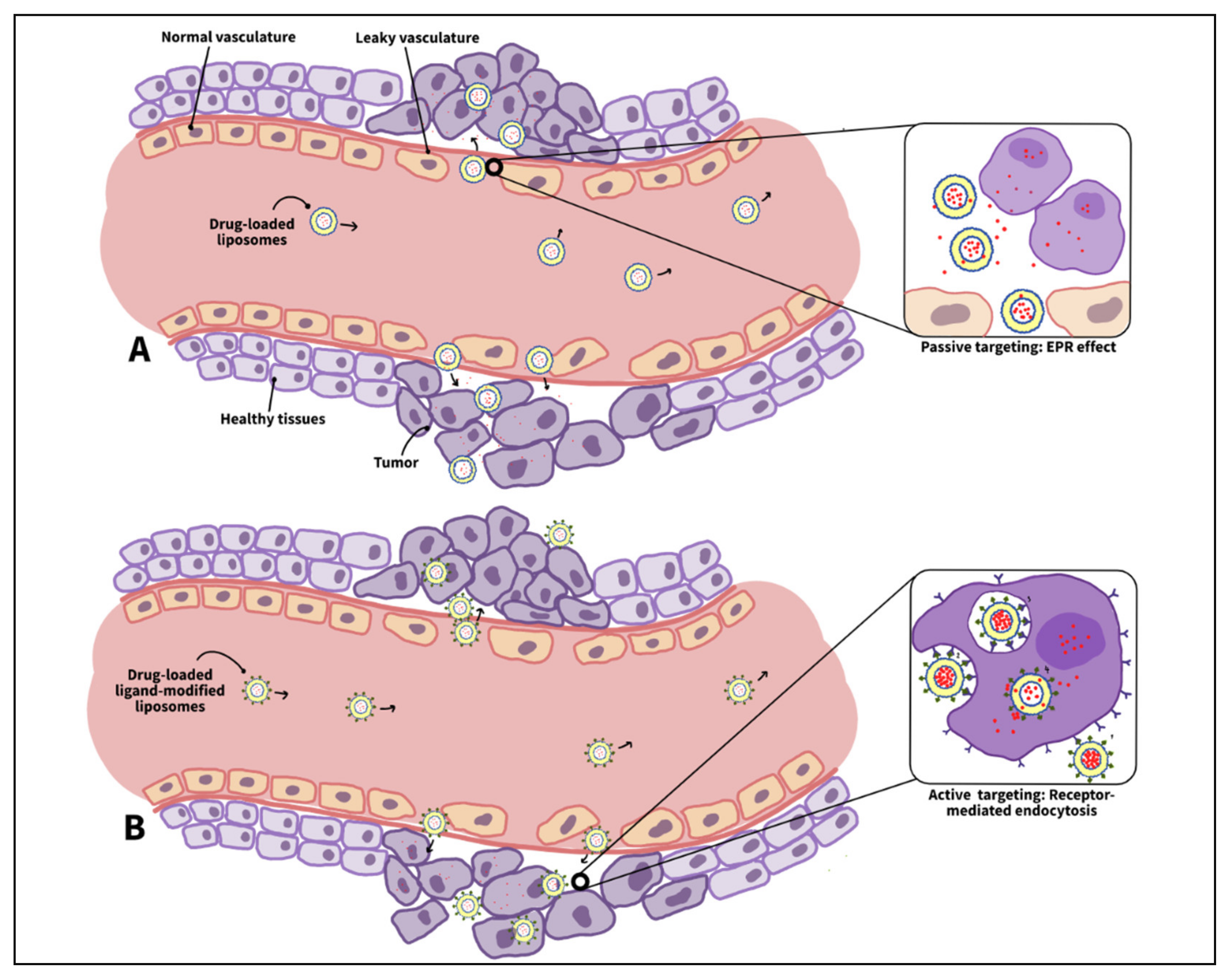 Nanomaterials 12 03051 g004