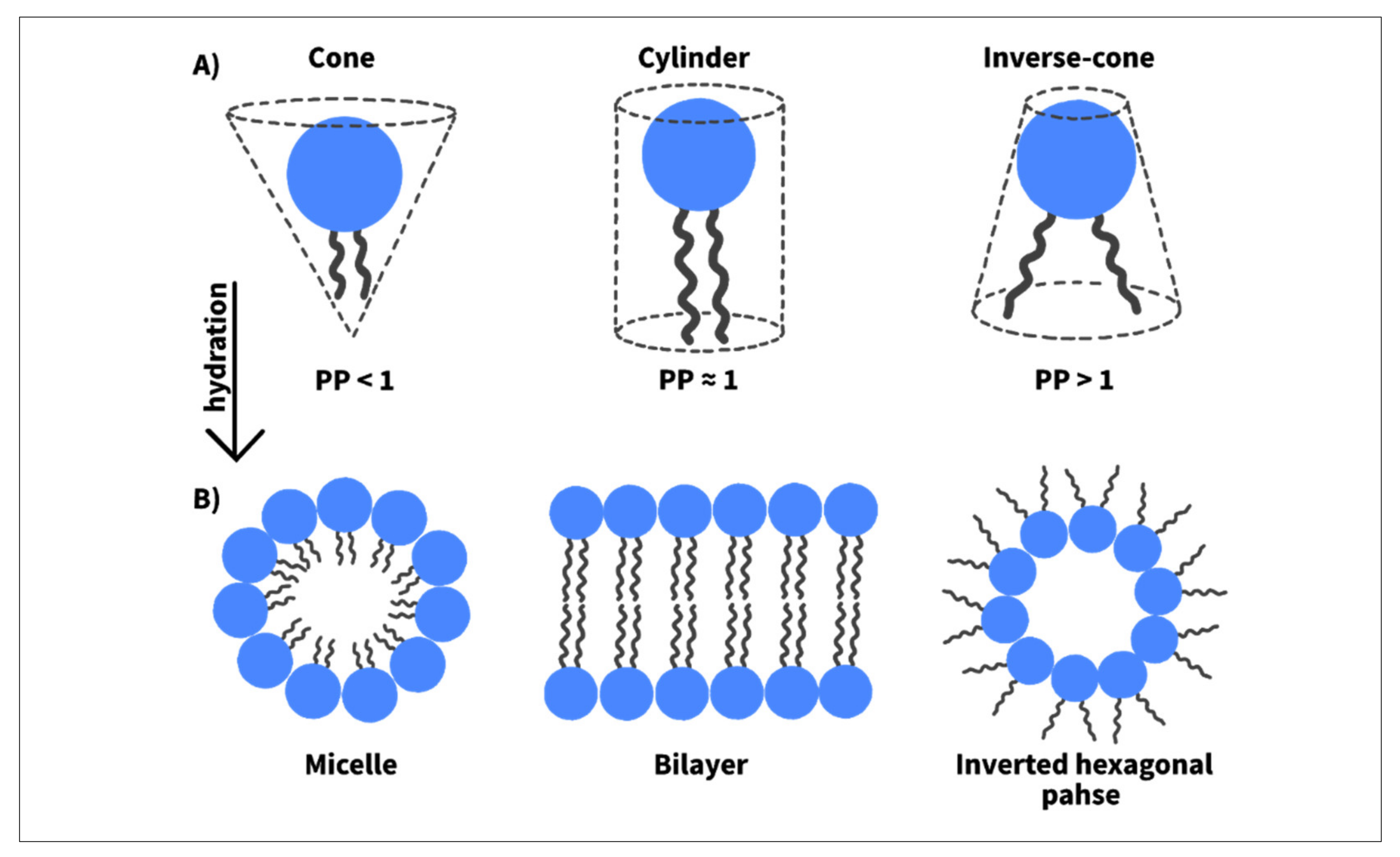 Nanomaterials 12 03051 g006