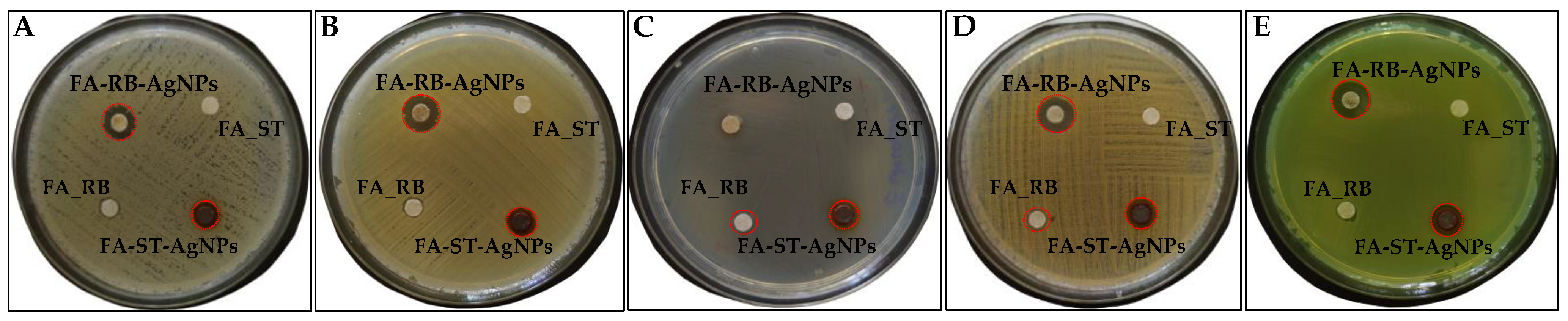 Nanomaterials 12 03053 g007